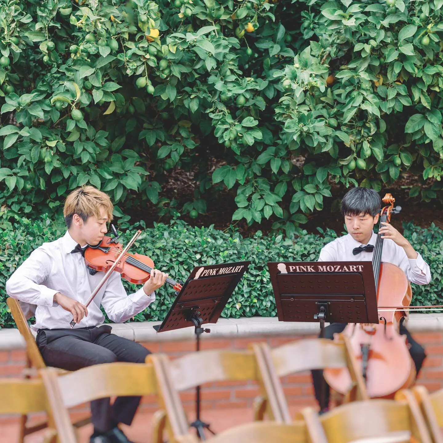 As featured on @stylemepretty ❤️ Our classic string duo serenaded the air with romance at this stunning blush wedding ✨
.
.
.
📸 @xoandfetti thank you always ✨💕
.
.
Planner and Designer: @theblushingdetails 
Venue: @quailranchevents
Photographer: @x