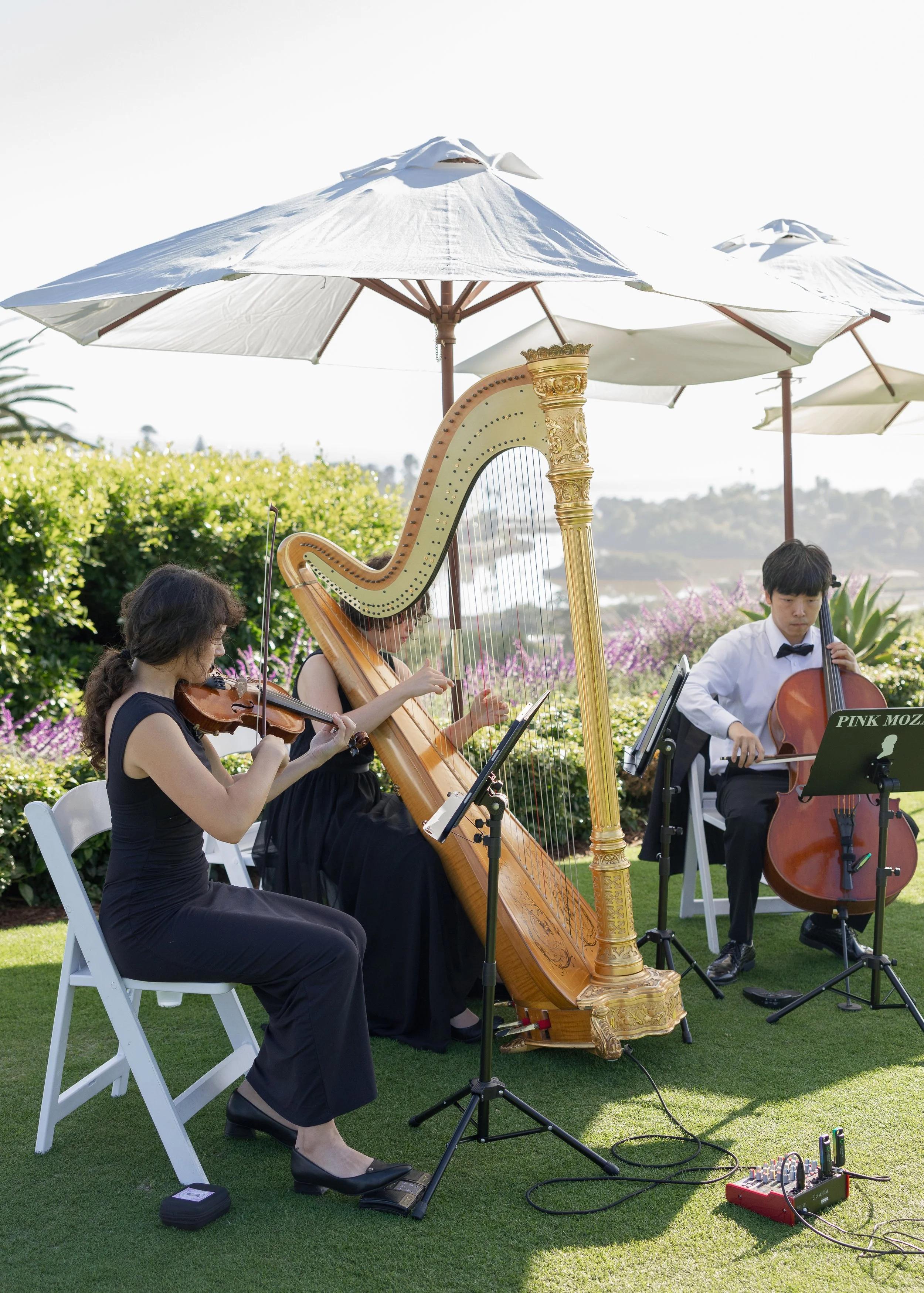 Pink Mozart harp, violin and cello trio at Montecito Club in Santa Barbara