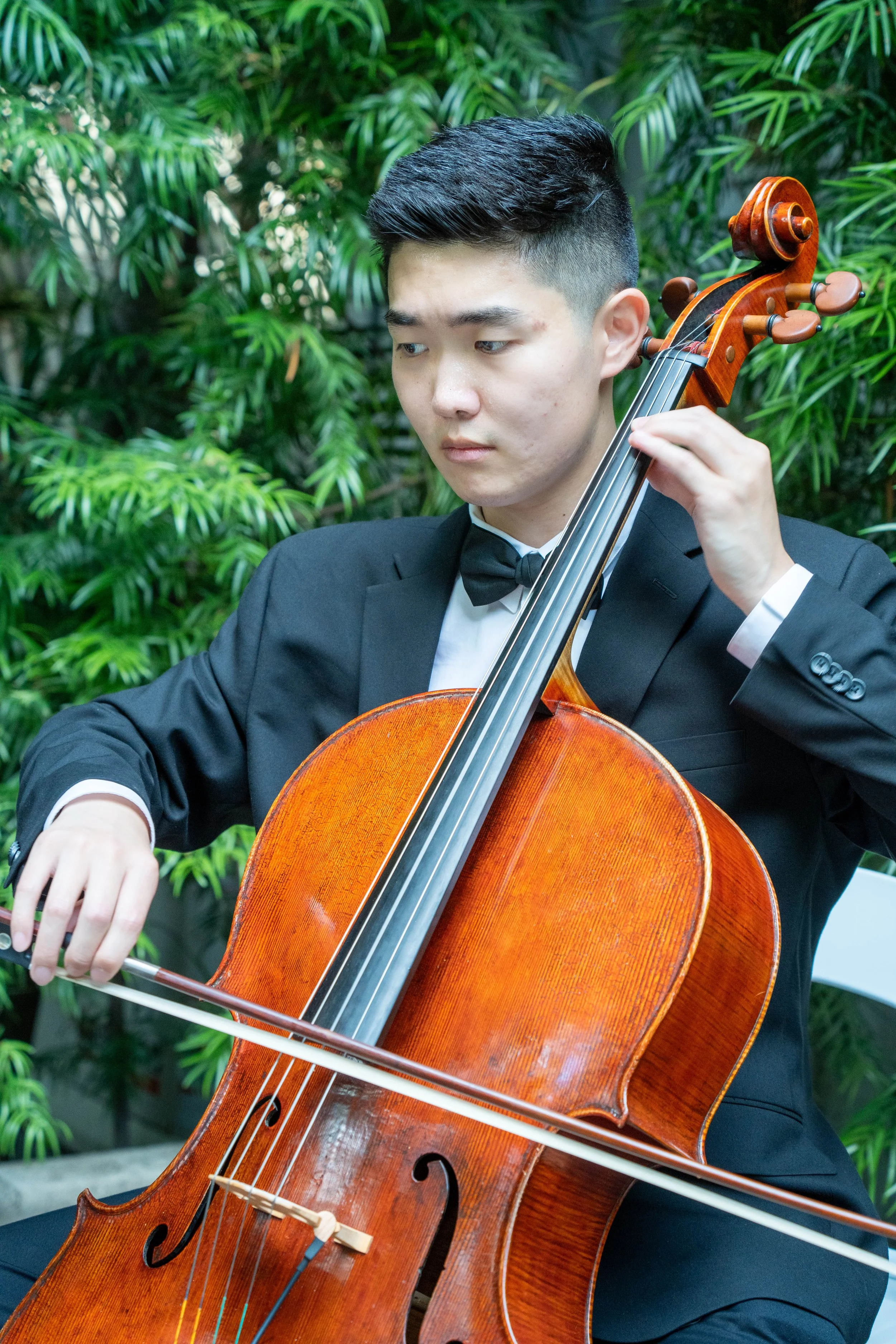 Pink Mozart cellist performing outdoors in a garden