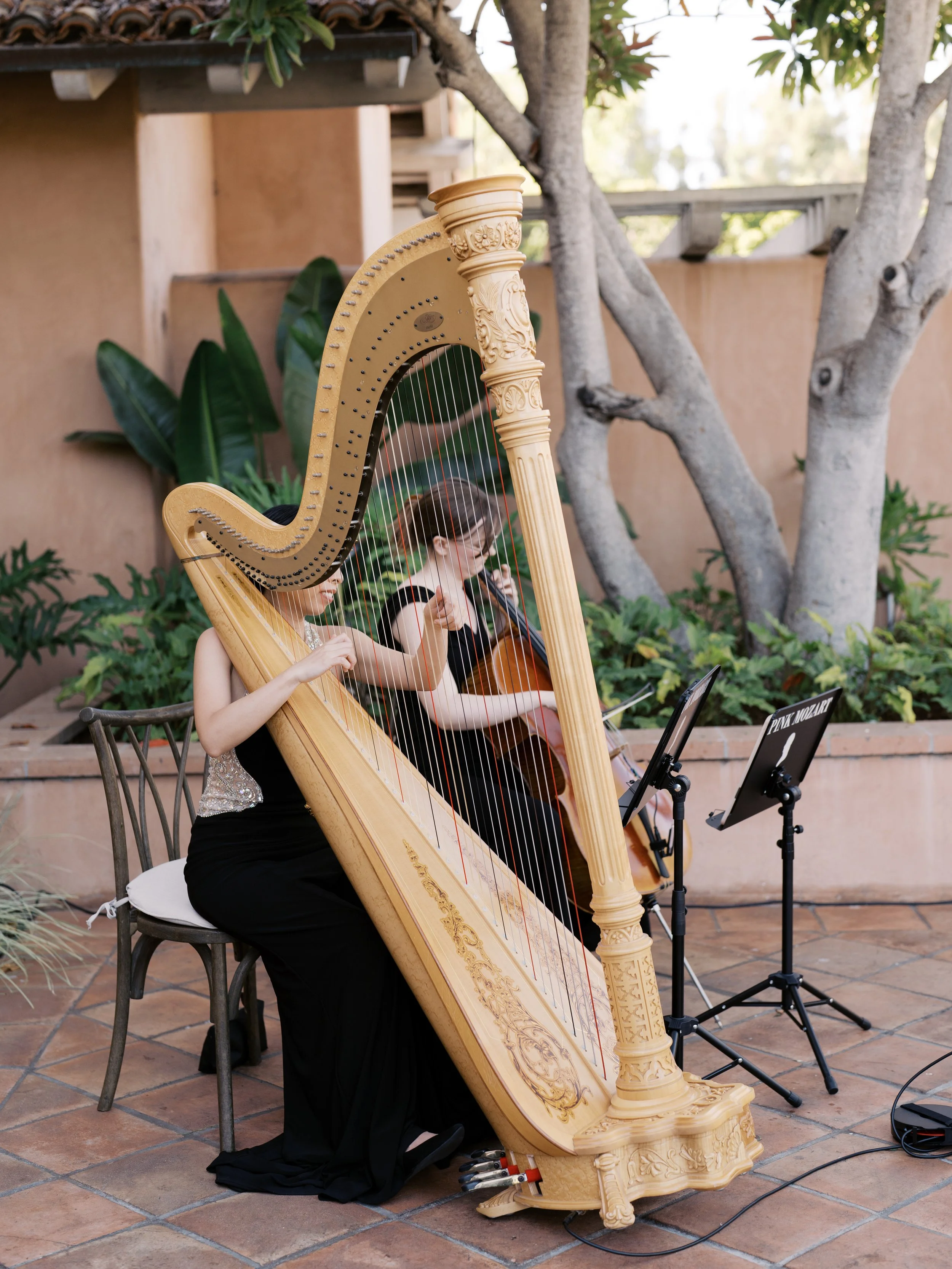 Pink Mozart harpist performing live wedding music at Rancho Valencia Resort & Spa in Rancho Santa Fe