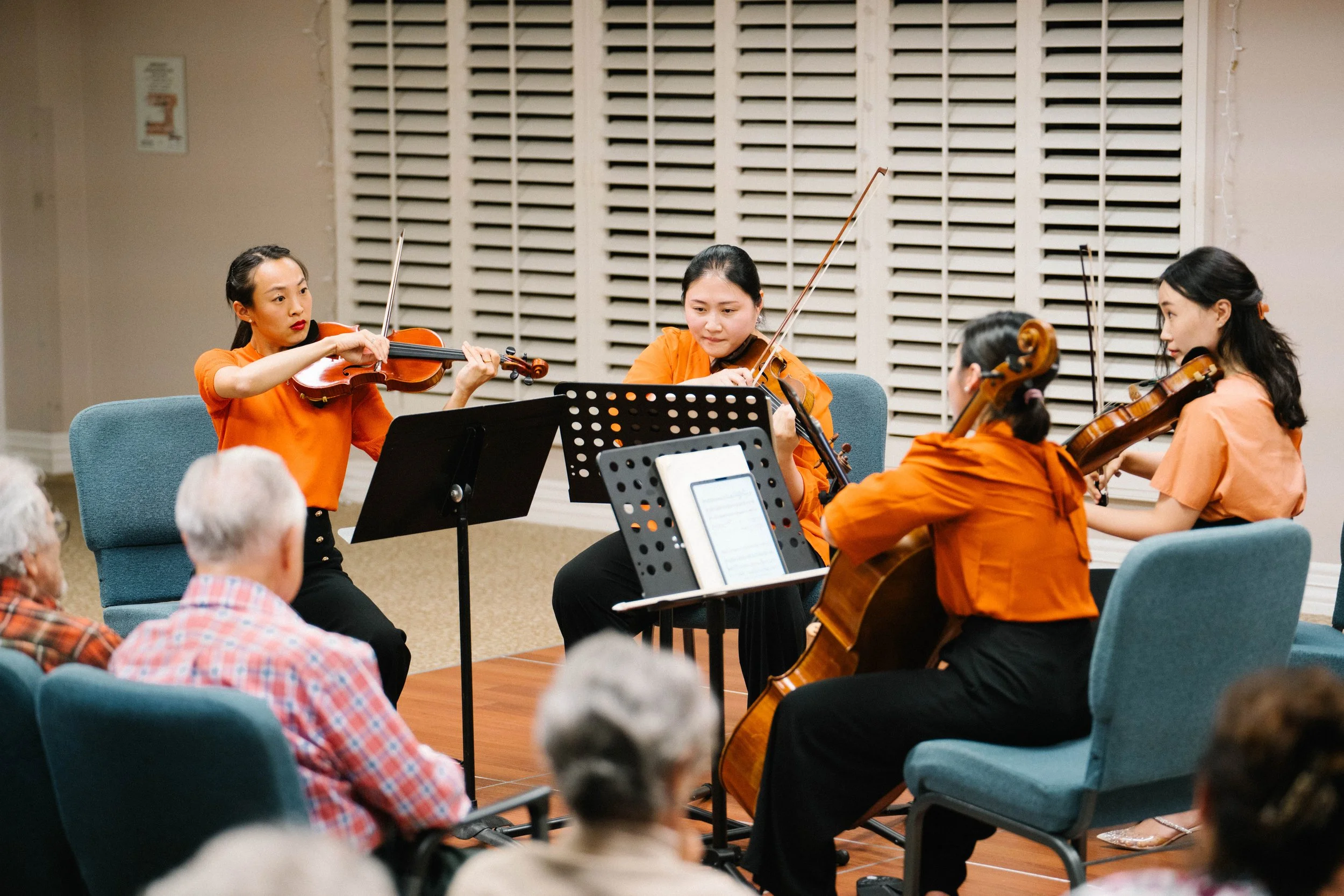 String Quartet Live Concert