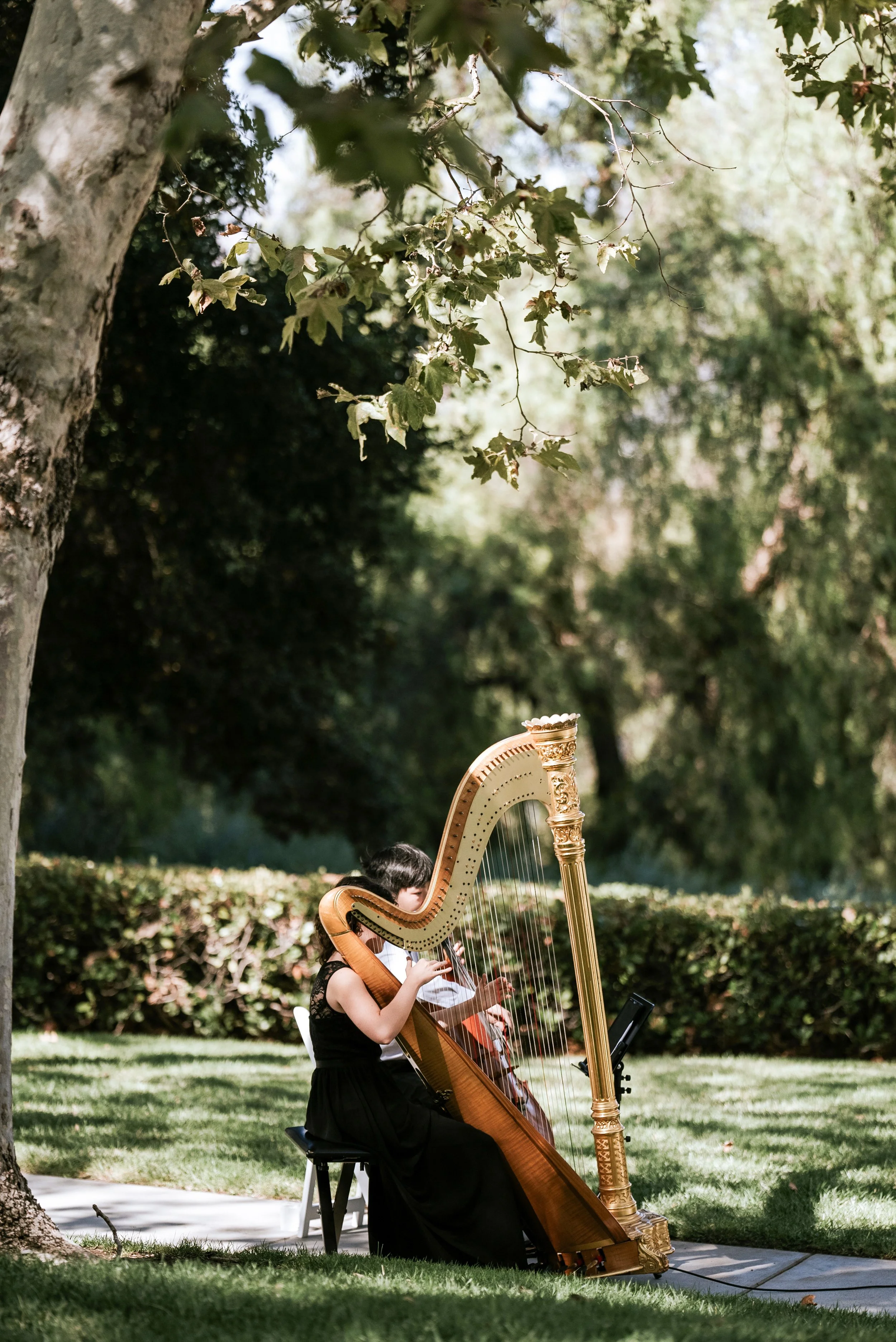 Pink Mozart harpist performing outdoors at Summit House in Fullerton