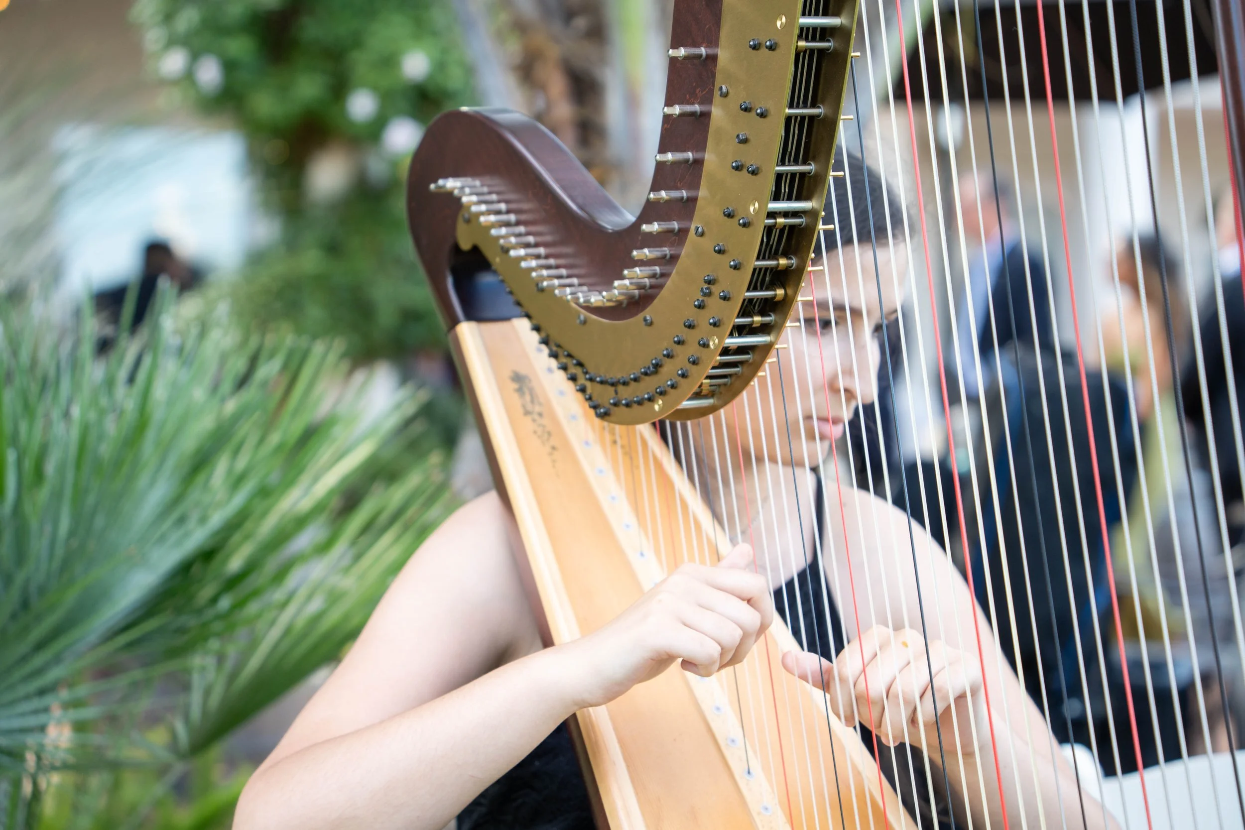 Close-up of a Pink Mozart harpist playing the harp strings