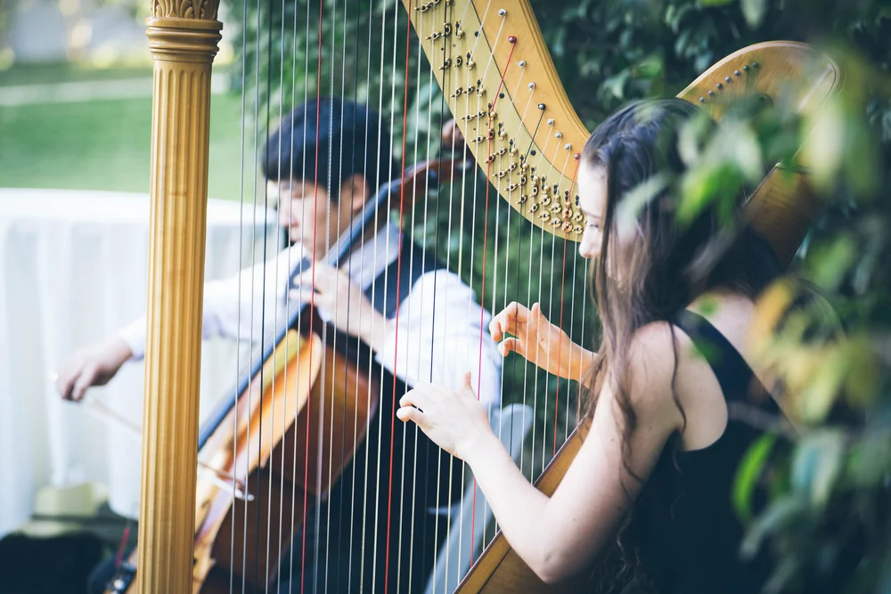 Gallery Best Classical Music for Weddings and Events — Pink Mozart