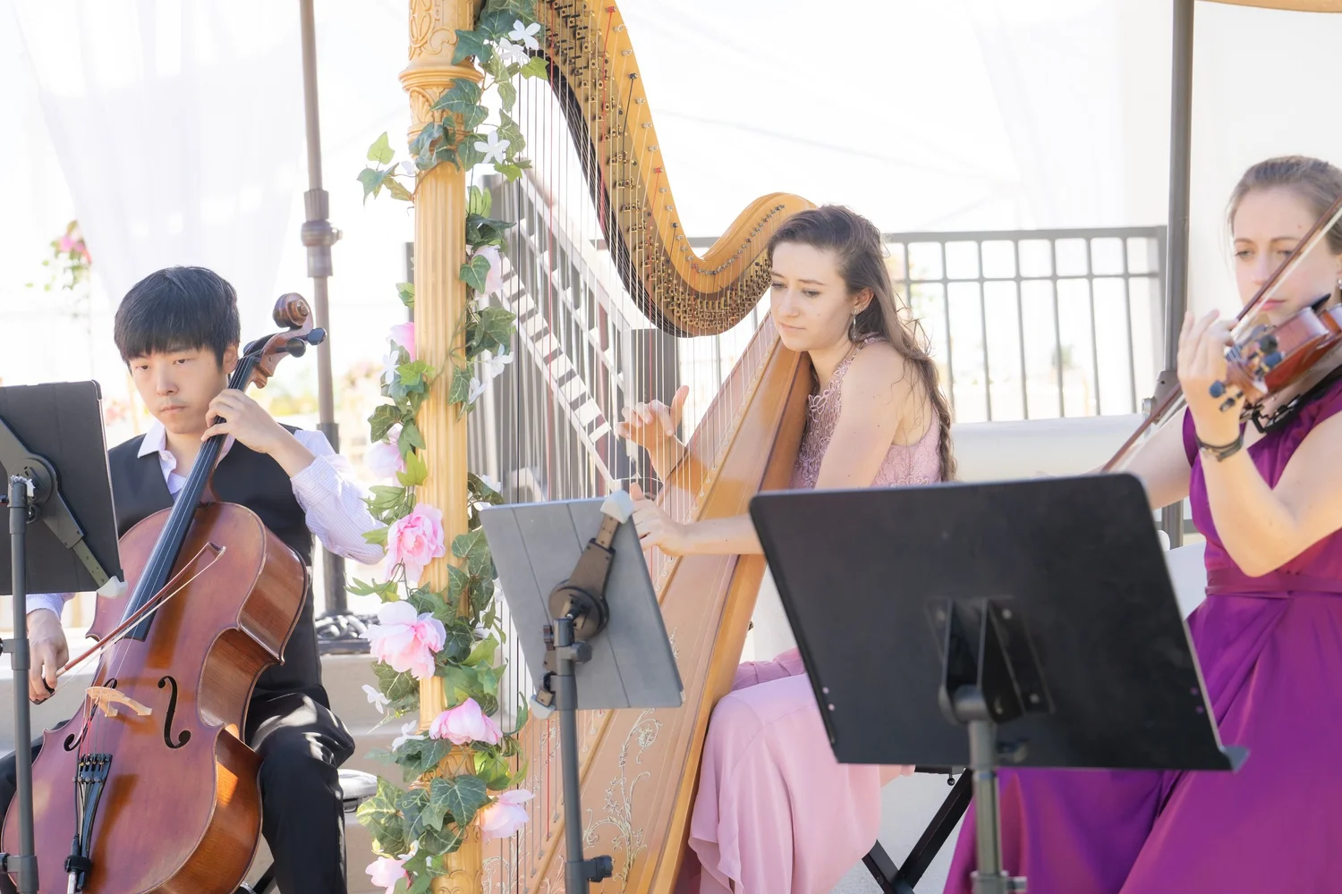 Gallery Best Classical Music for Weddings and Events — Pink Mozart