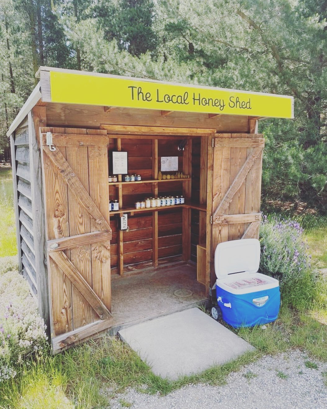 The local honey shed located between Cromwell and Bannockburn is one of the spots you can pick up a punnet of fresh strawberries today, along with Royalburn Store, Arrowtown &amp; Qtwn 4square, Freshlink Wanaka and Soul Food or pop out to our farm an