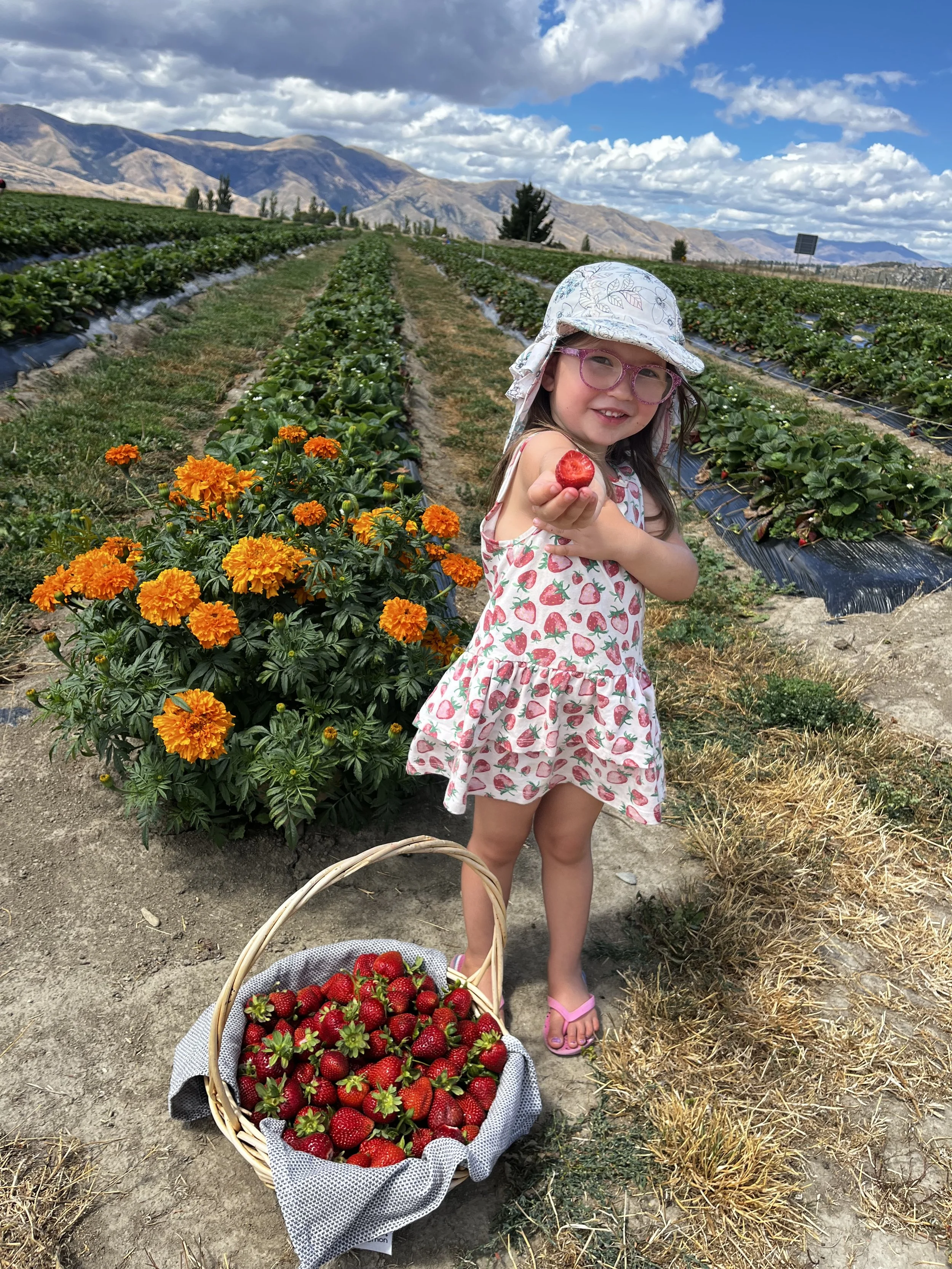 A child holding a freshly picked strawberry at Red Bridge Berries.