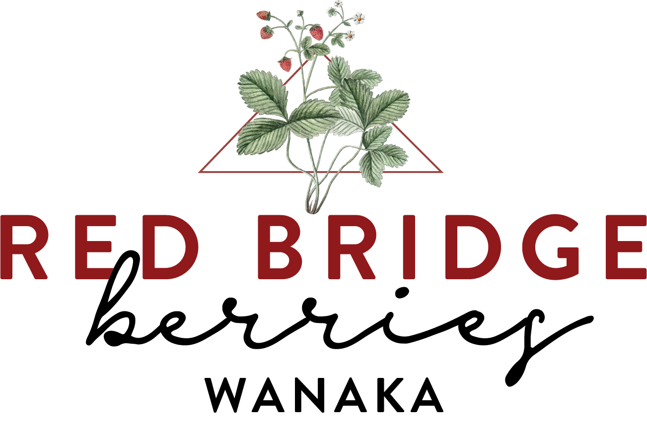 Red Bridge Berries