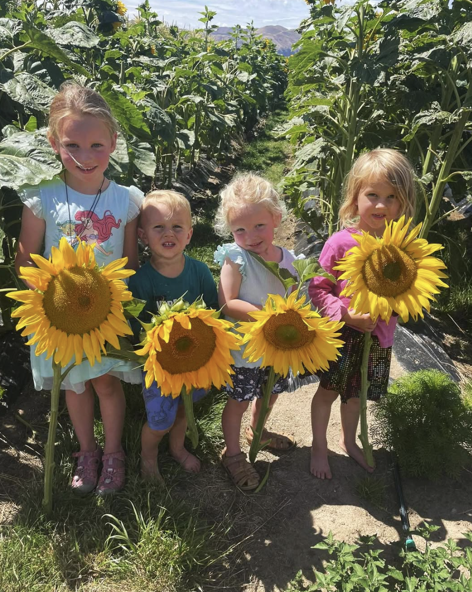 Kids standing and holding sunflowers at Red Bridge Berries.