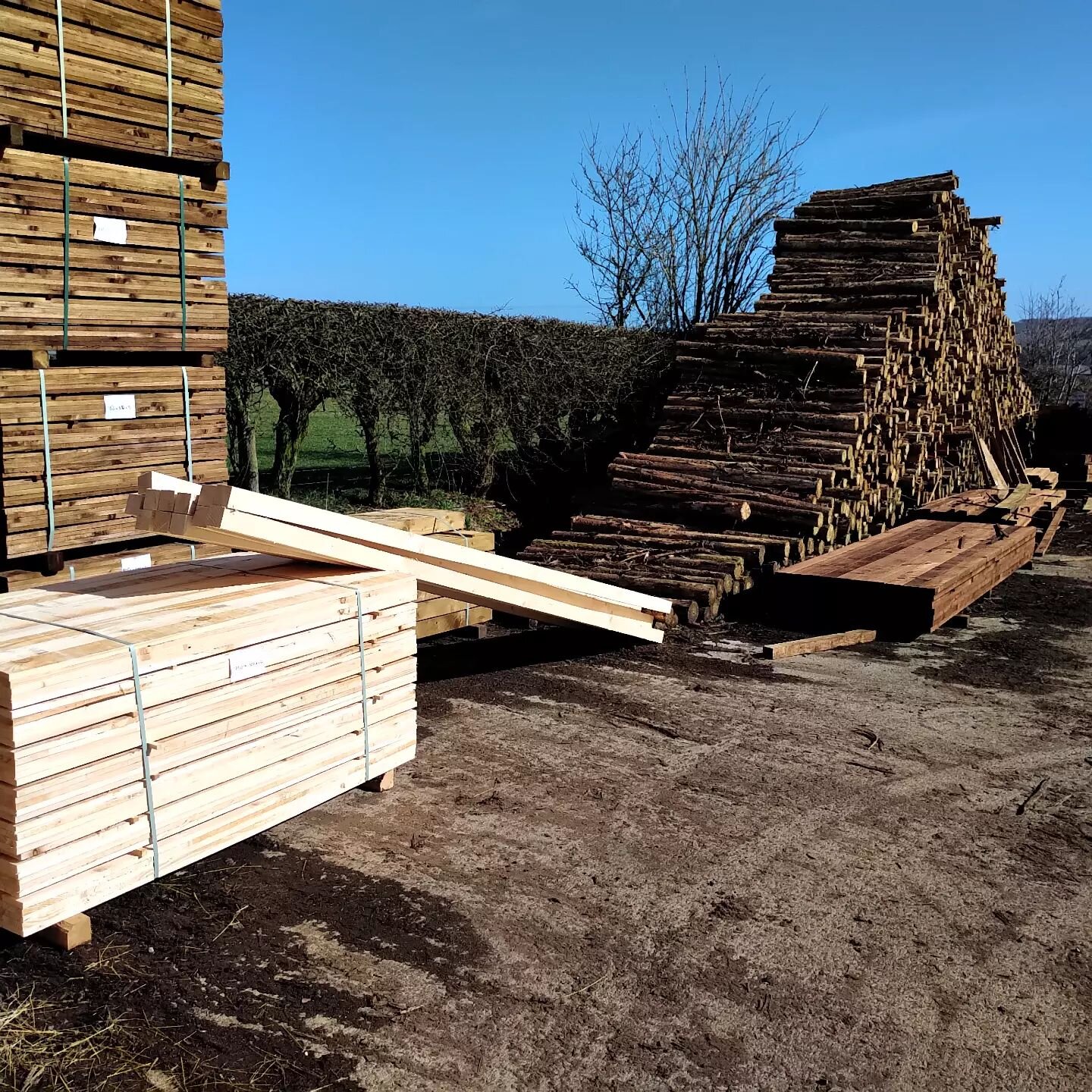 Blue sky, a bit of warmth in the sun and the smell of freshly sawn timber. Bliss.

#woodstore #woodburningstove #woodenlogstore #scottishborders #norskveduk #logstores #logstore #logburner