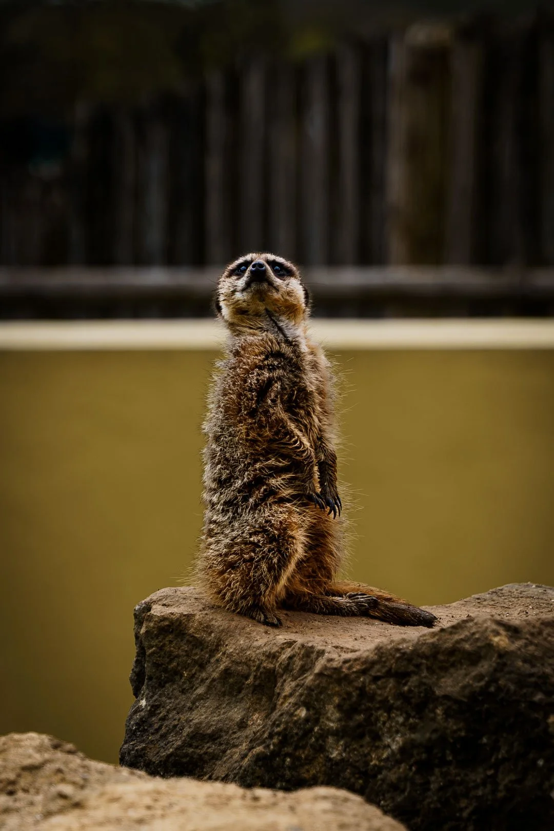 marwell-photos-20260403-fr-8.jpg