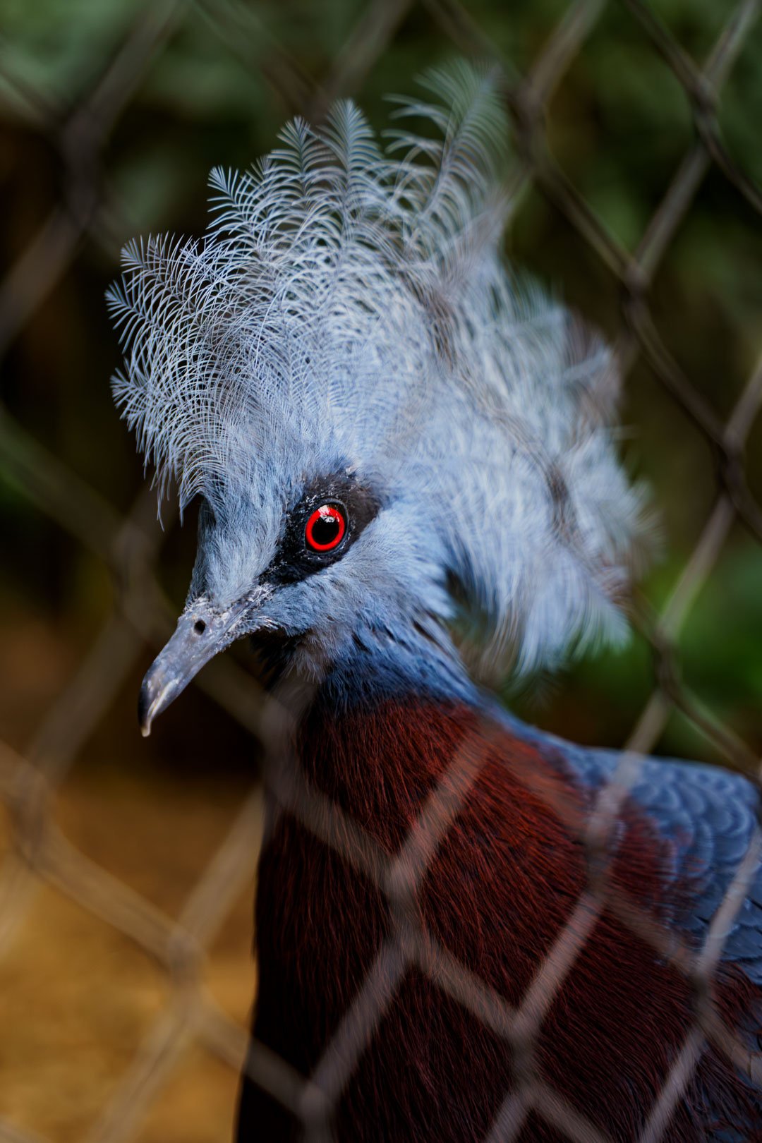 Marwell Photoshoot