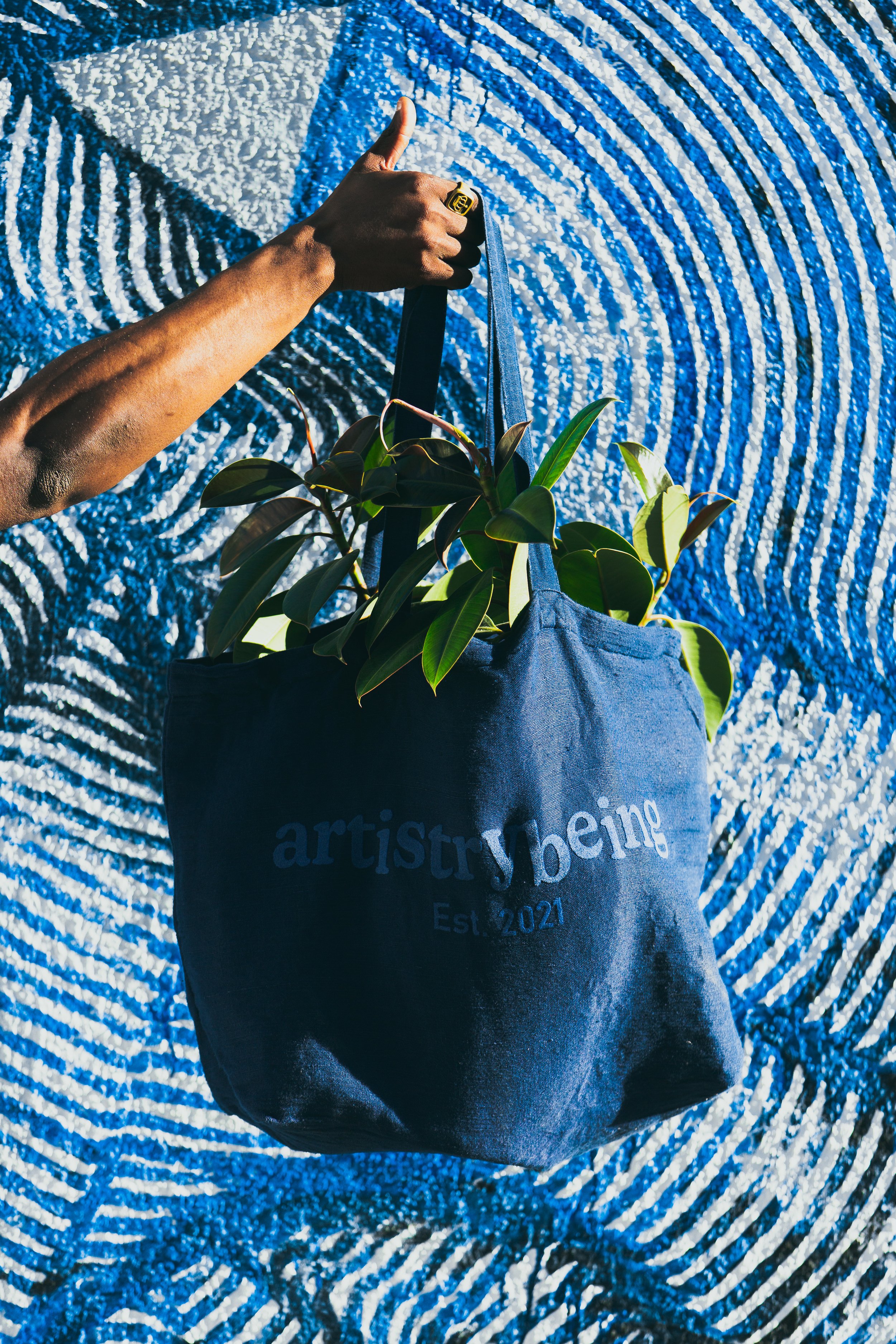 Shopping Bag