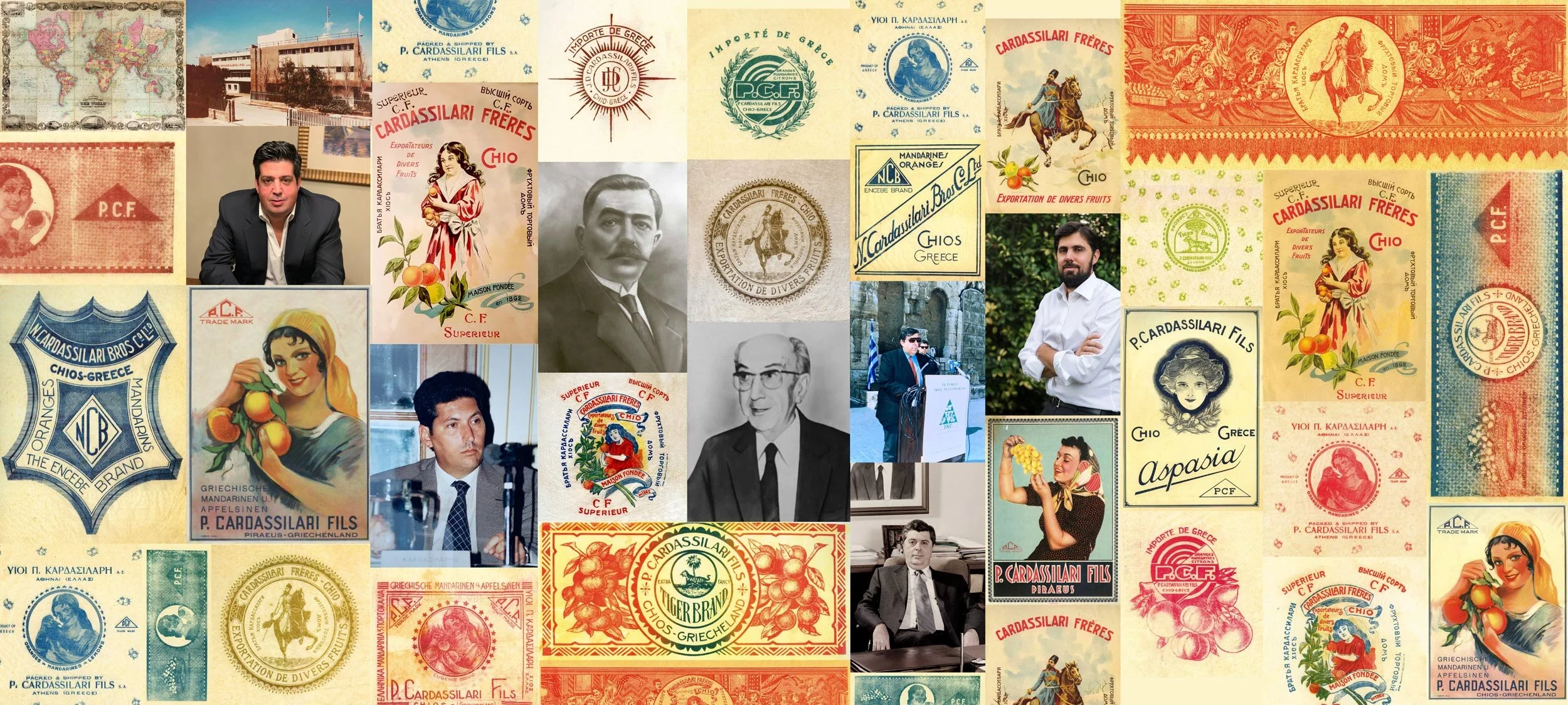 CARDASSILARIS-Family-Banner-Web.jpg