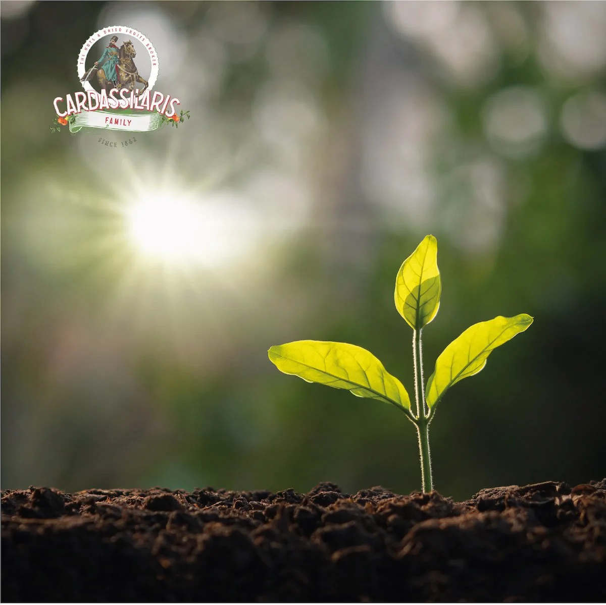 Nachhaltigkeitstrends, auf die Sie im Jahr 2022 achten sollten