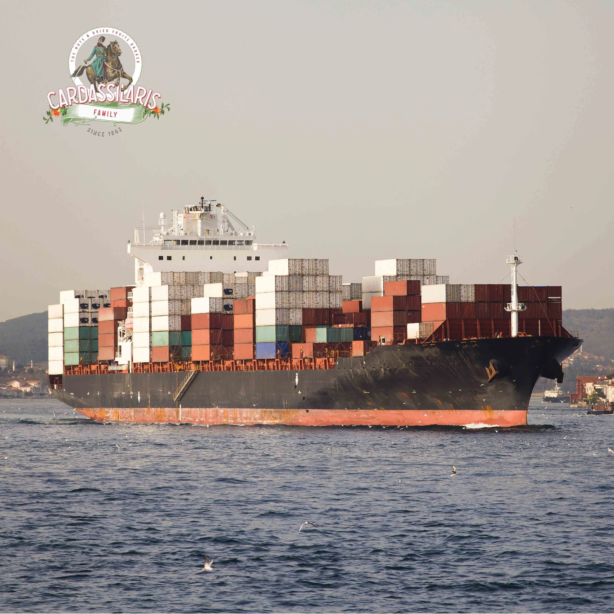 Schifffahrtskrise Update Januar 2022 Woche 3