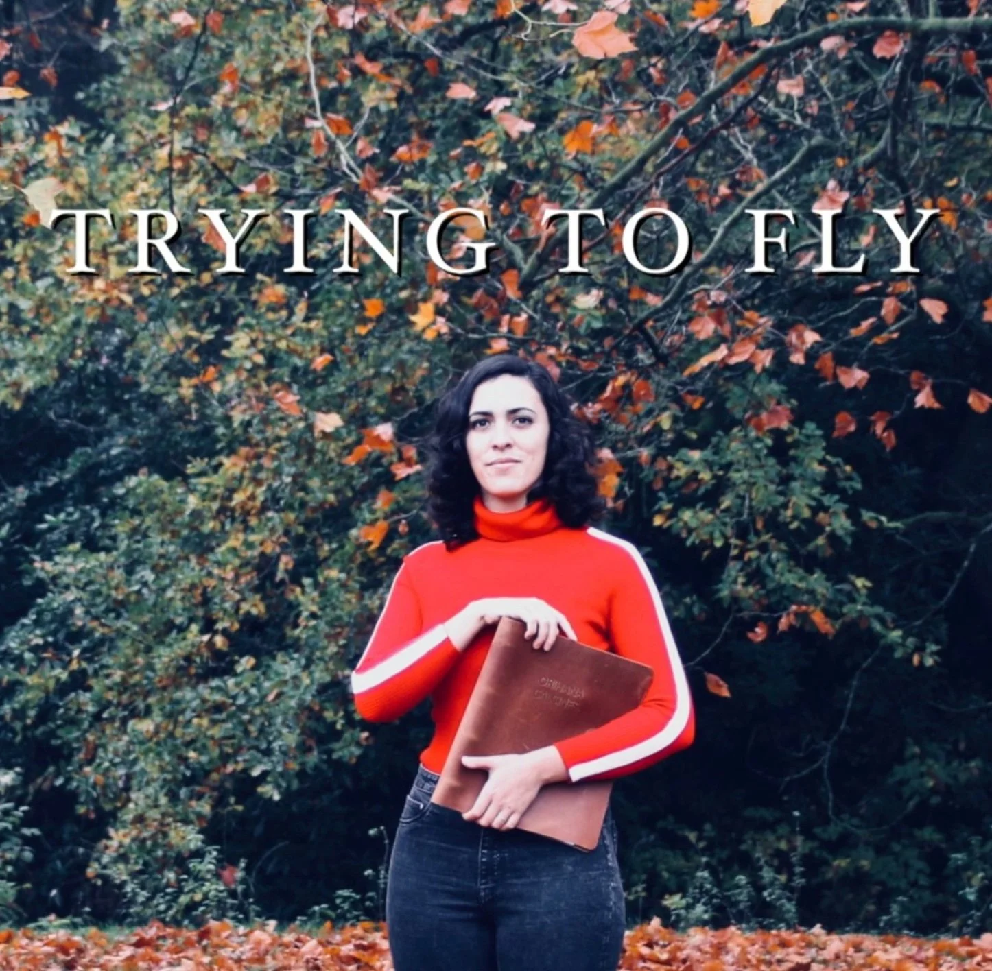TRYING TO FLY