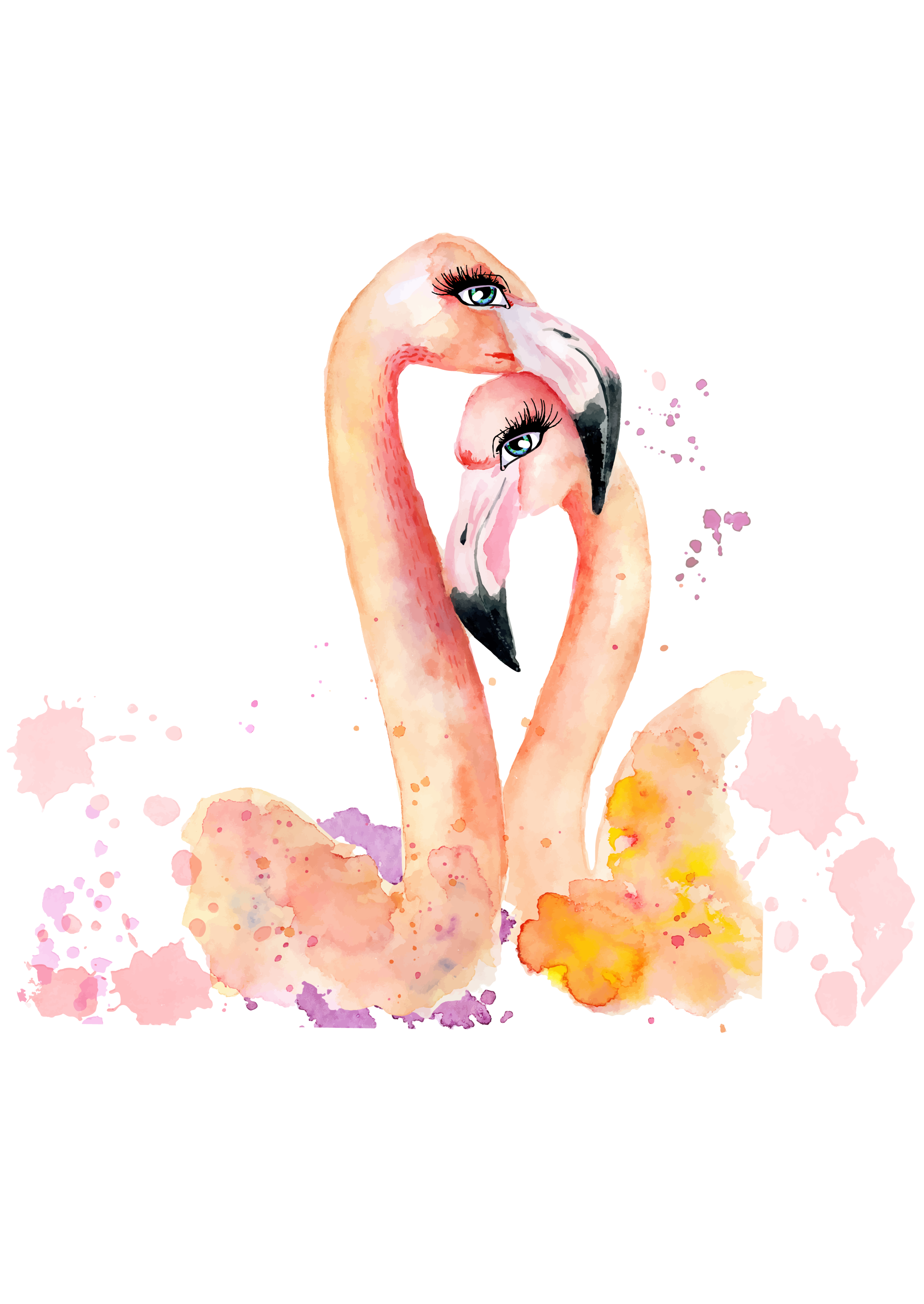 flamingo love shelly craig.png
