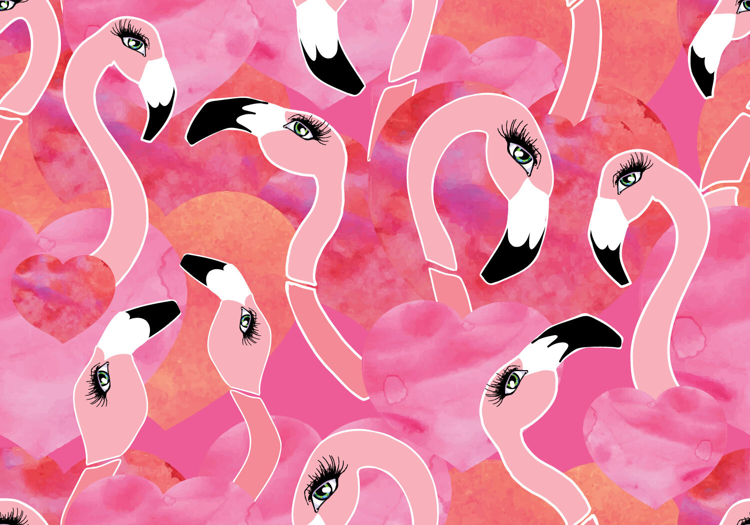Flamingo shelly craig.jpg