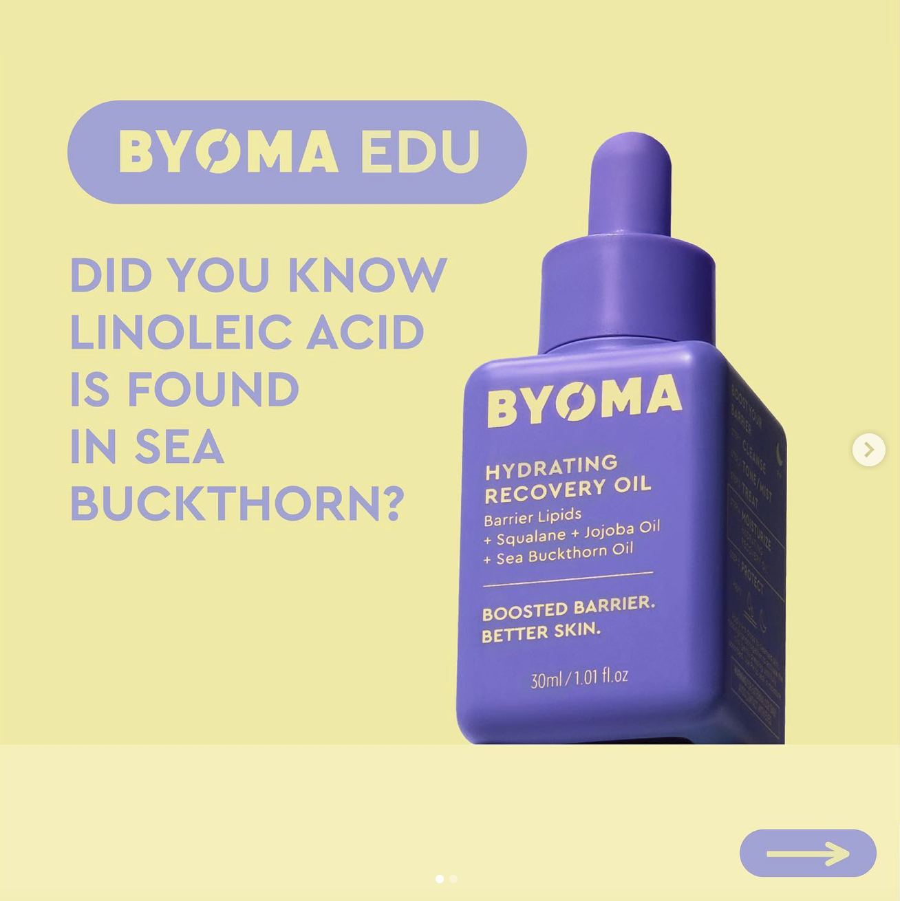 Screen Shot 2024-11-08 at 12.14.38 PM.png