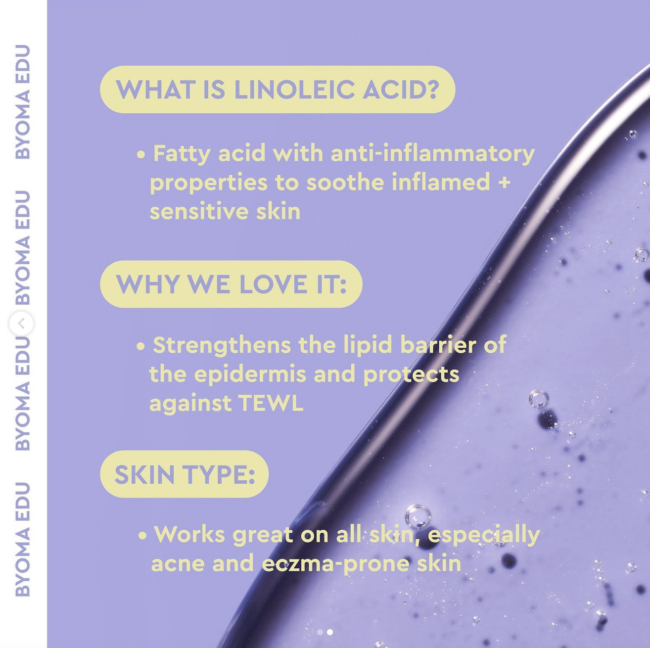 Screen Shot 2024-11-08 at 12.14.46 PM.png