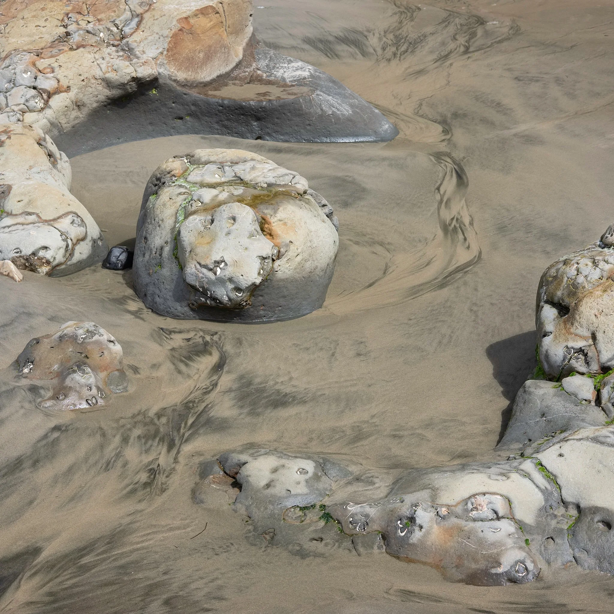 2018 - -70-20180428_Oregon Coast_0750-IridientEdit.jpg