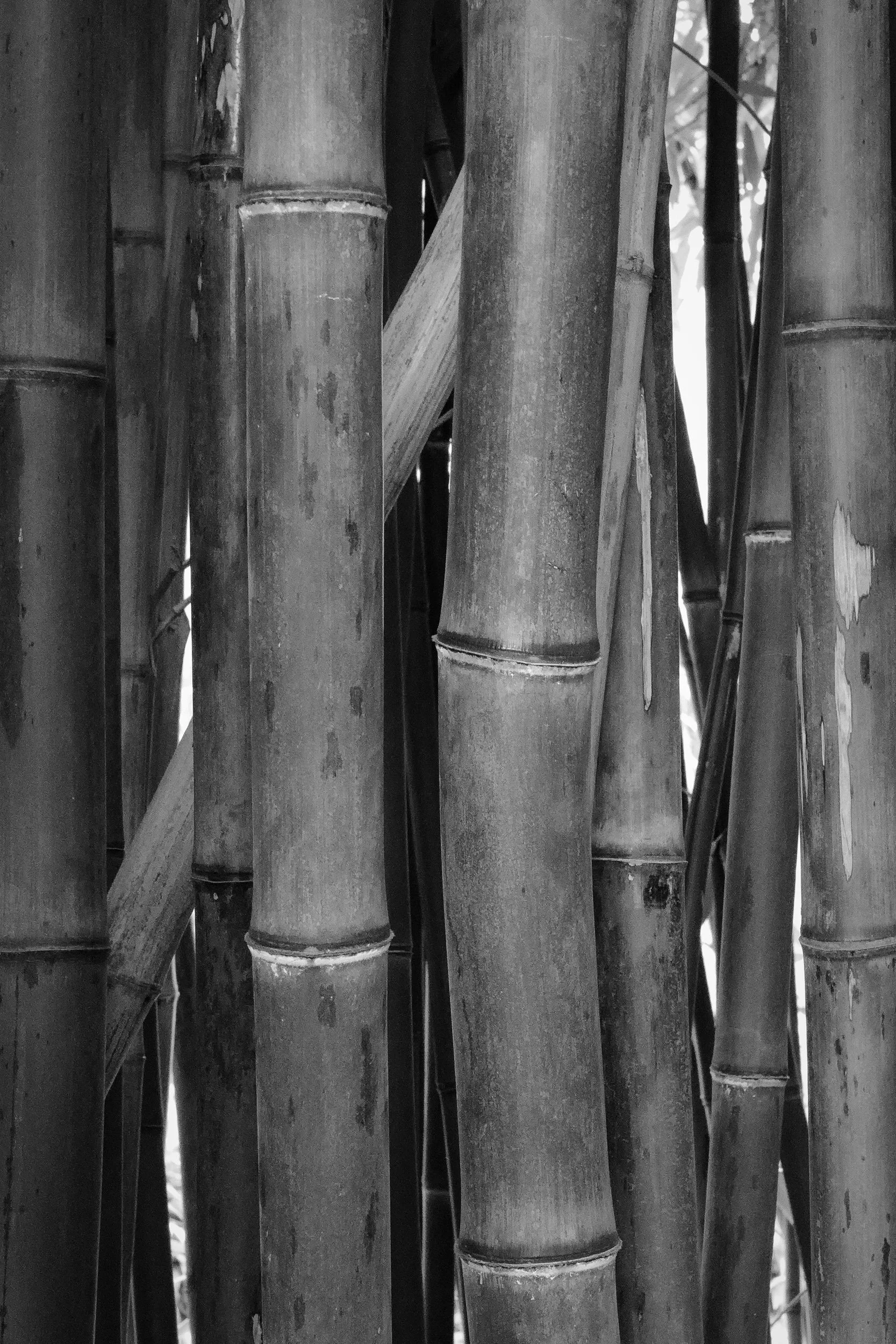 20221029-110754-LeicaLEICA Q2 MONO-Masters_Blog.jpg