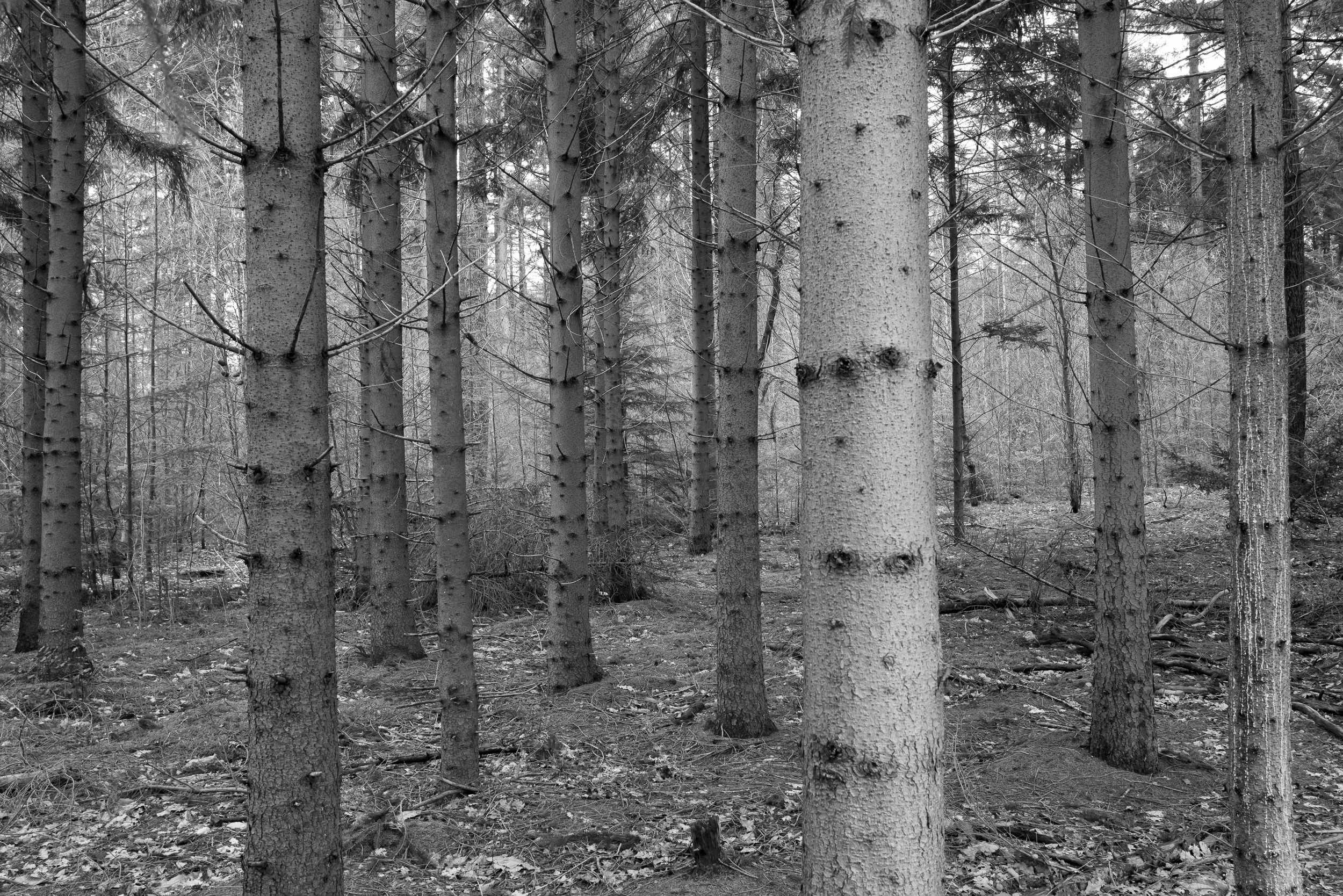 20240210-102746-LeicaLEICA Q2 MONO-untitled_Blog.jpg