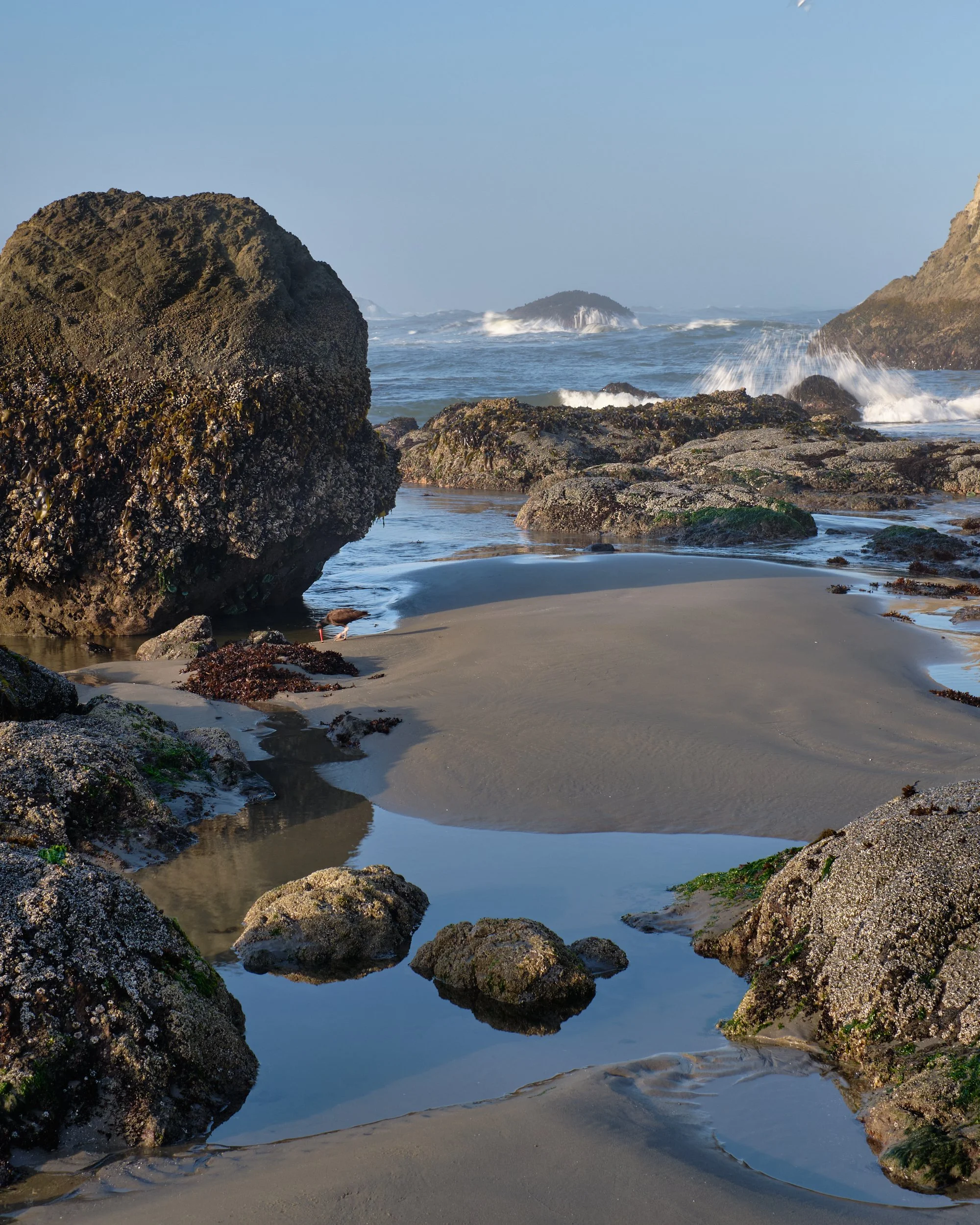 2018-06-17_06-05-58_Bandon.jpg