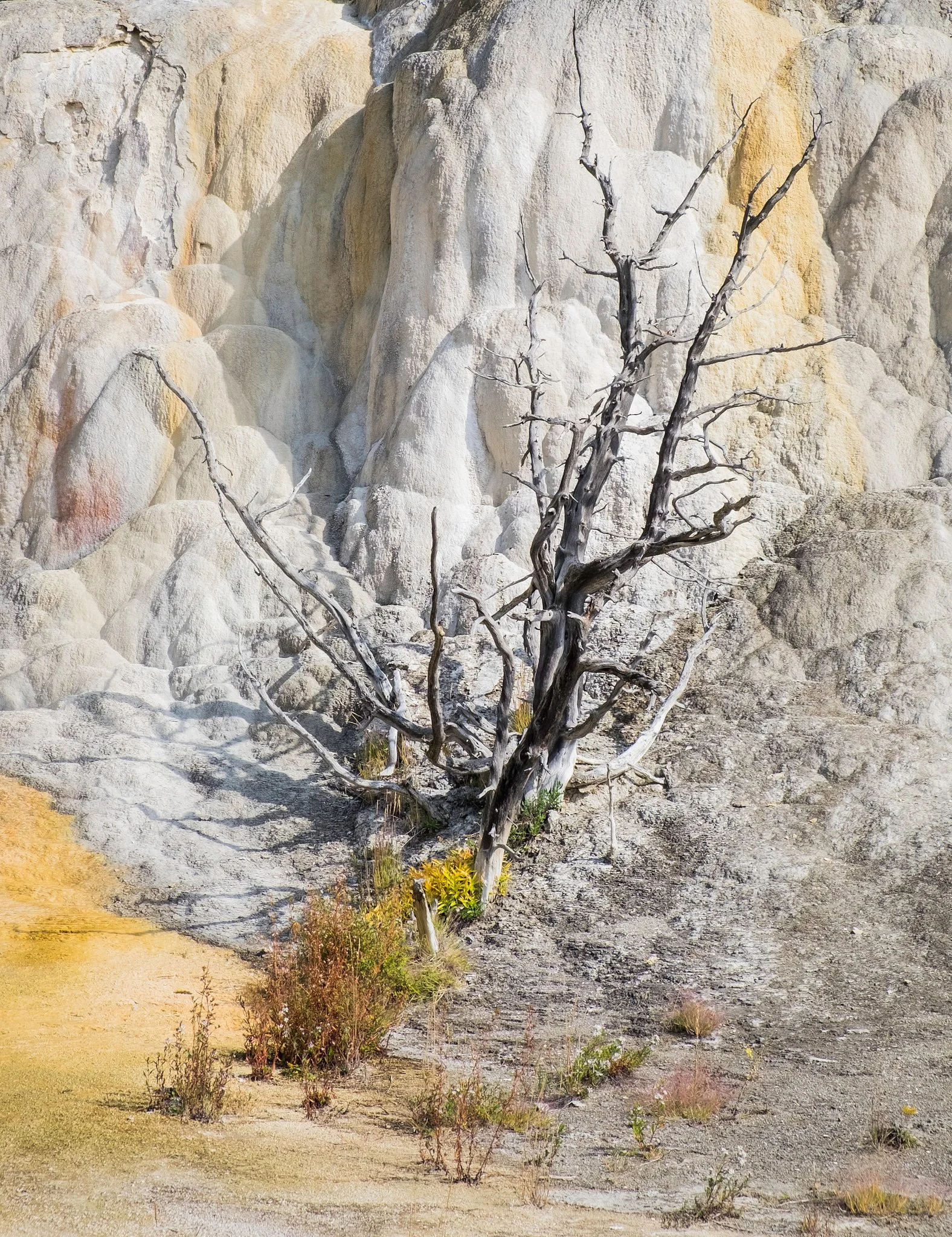 _Yellowstone 2014-109-20140909_Yellowstone-Grand_Tetons_0116.jpg
