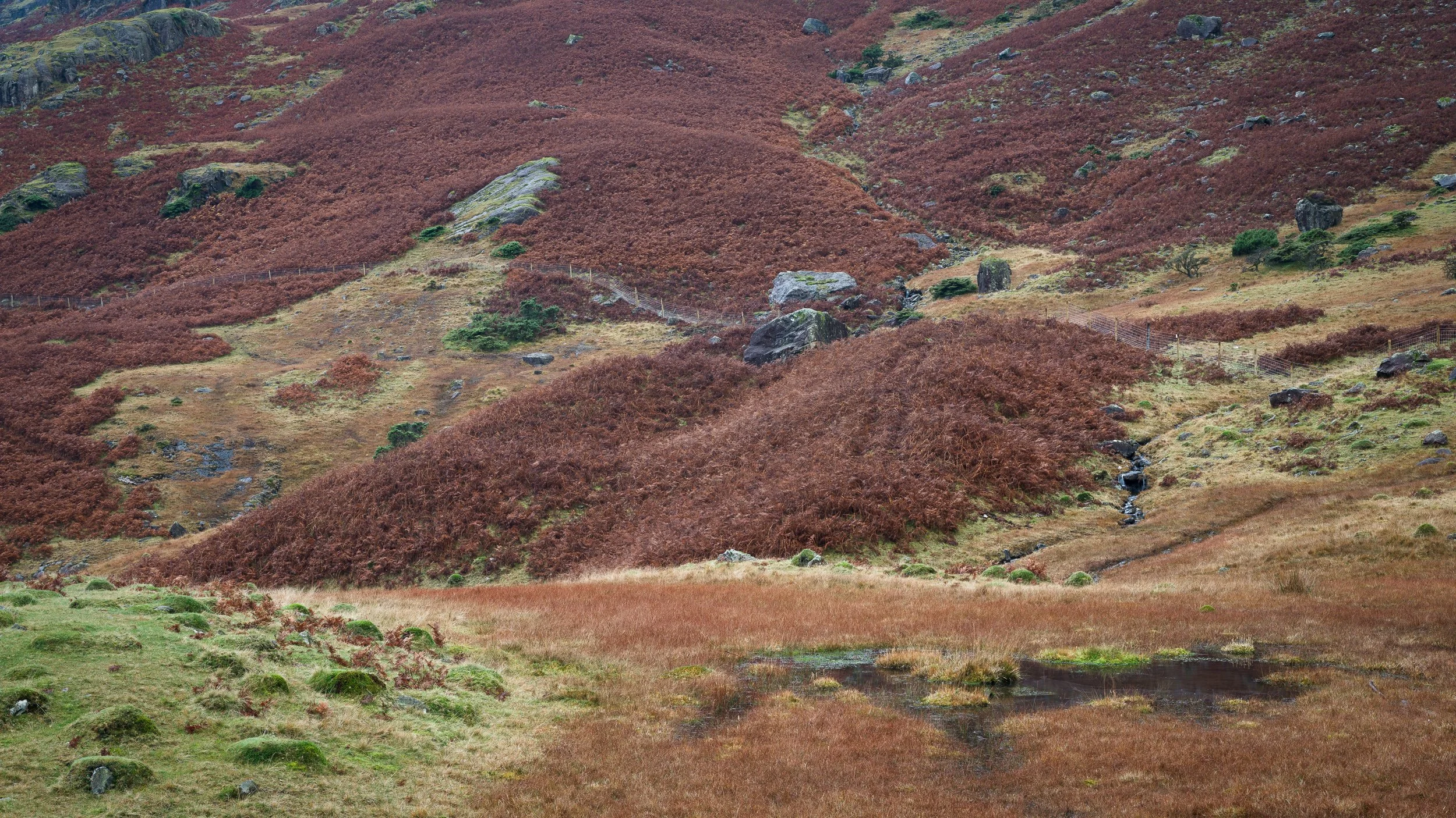 November, Lake District, England
