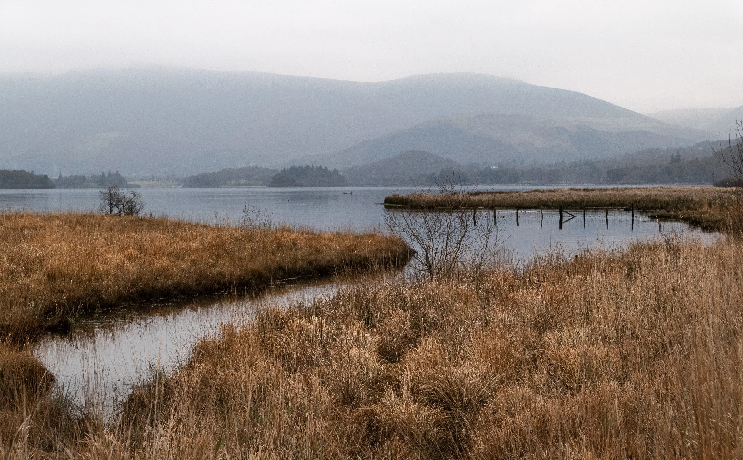 November, Borrowdale Lake walk, Lake District, England