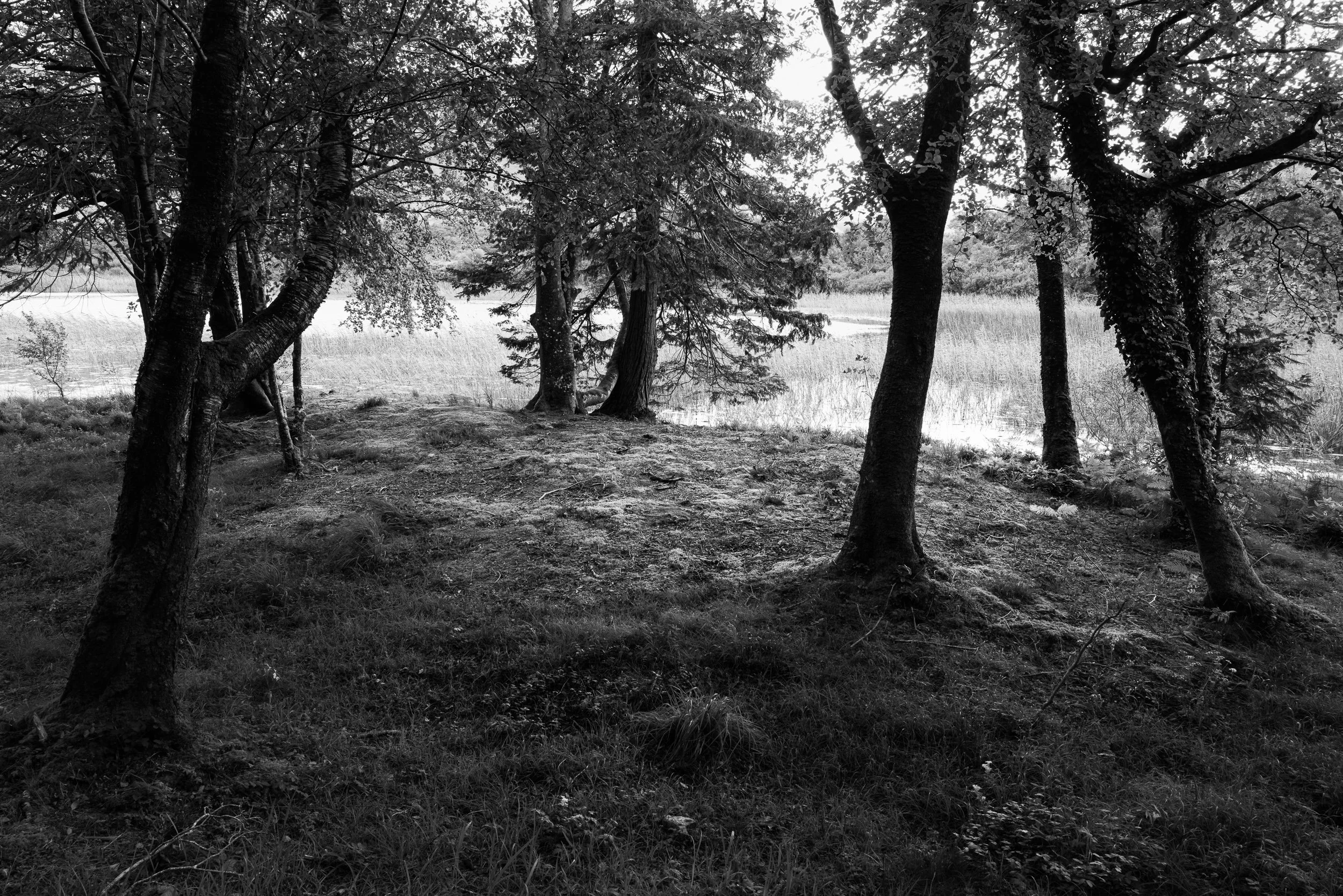 20240911-163706-LeicaLEICA Q2 MONO_Blog.jpg