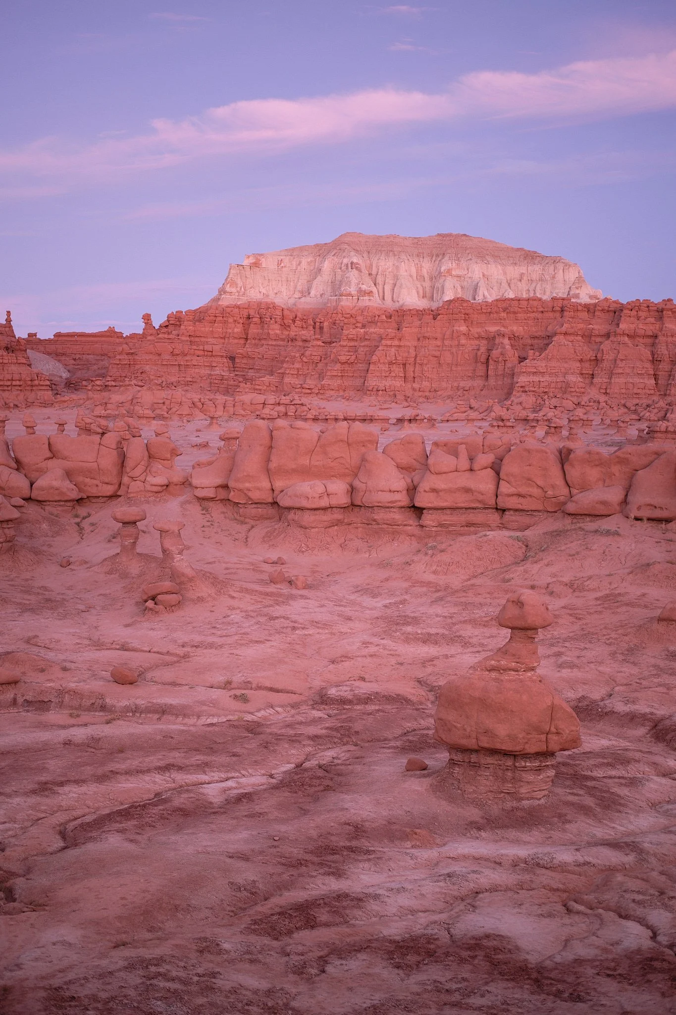 _DSF97862019 Fall Trip.jpg