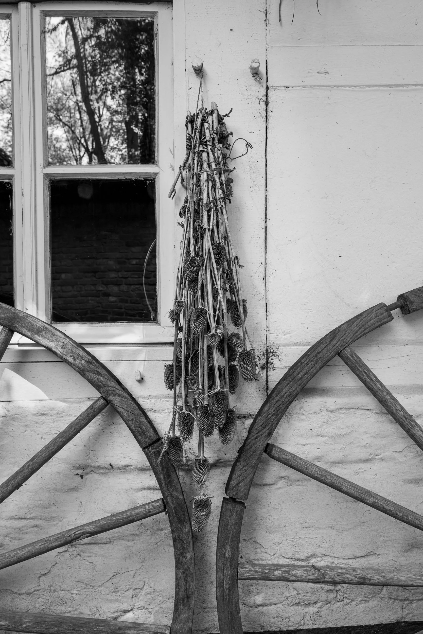20250429-130513-LeicaLEICA Q2 MONO_Blog.jpg