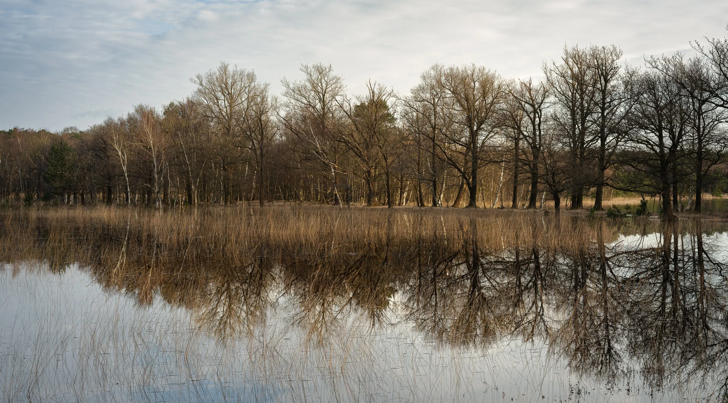 March, Leersumse Plassen, Utrecht NL