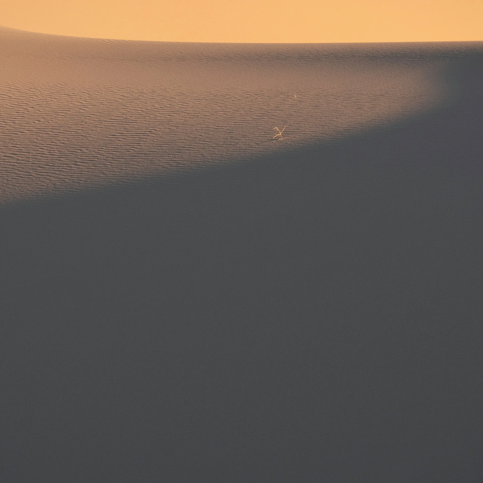 3 Star-1422-20181222_Death Valley 2018_0785-IridientEdit.jpg