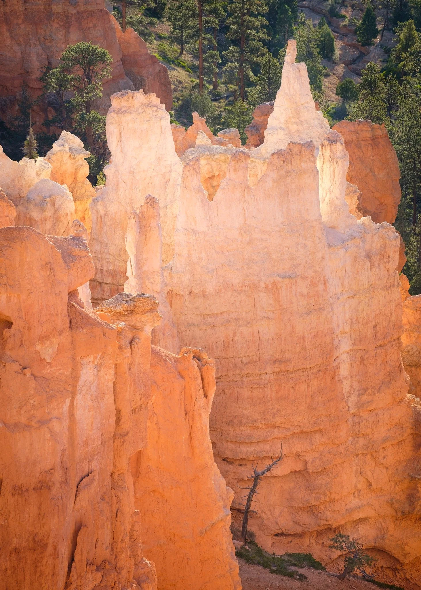 Utah 2015-8-20151011_Utah_2015_0128.jpg