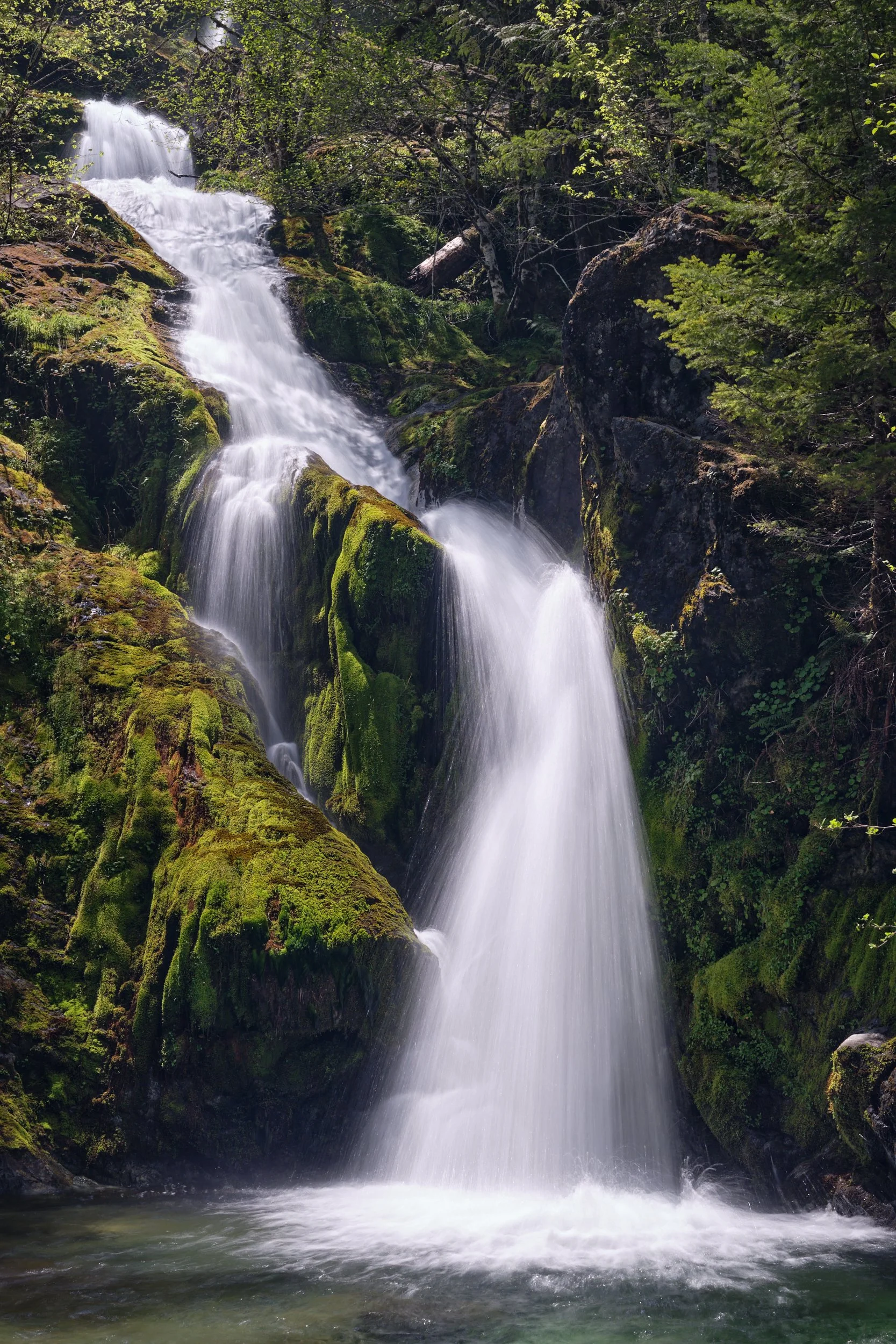 2018-05-12_12-42-16_OpalCreek.jpg
