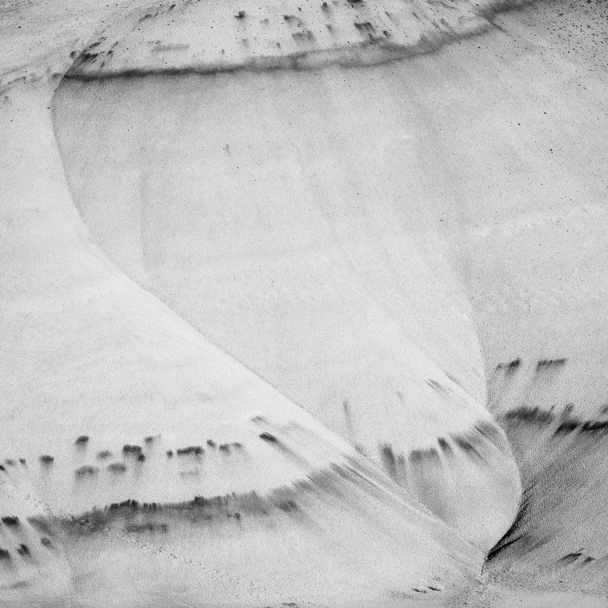 Painted Hills day 2-2.jpg