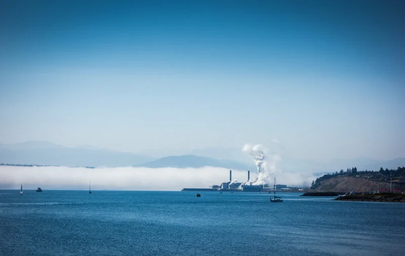 Meanwhile, back at the ranch . . . (part 2)