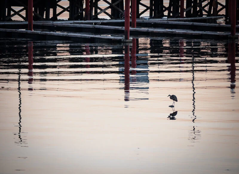 Meanwhile, back at the ranch . . .