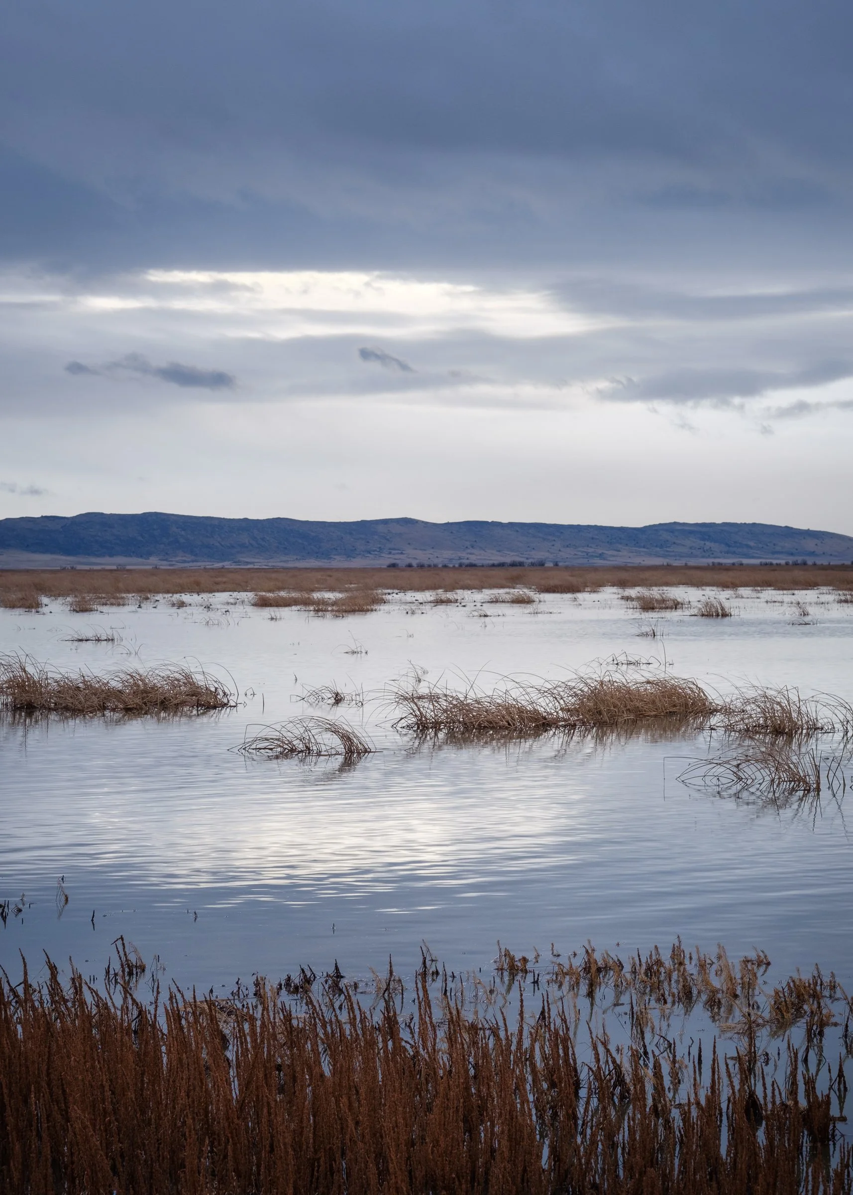 Fresno Trip - Stage 6 The Klamath National Wildlife Refuge