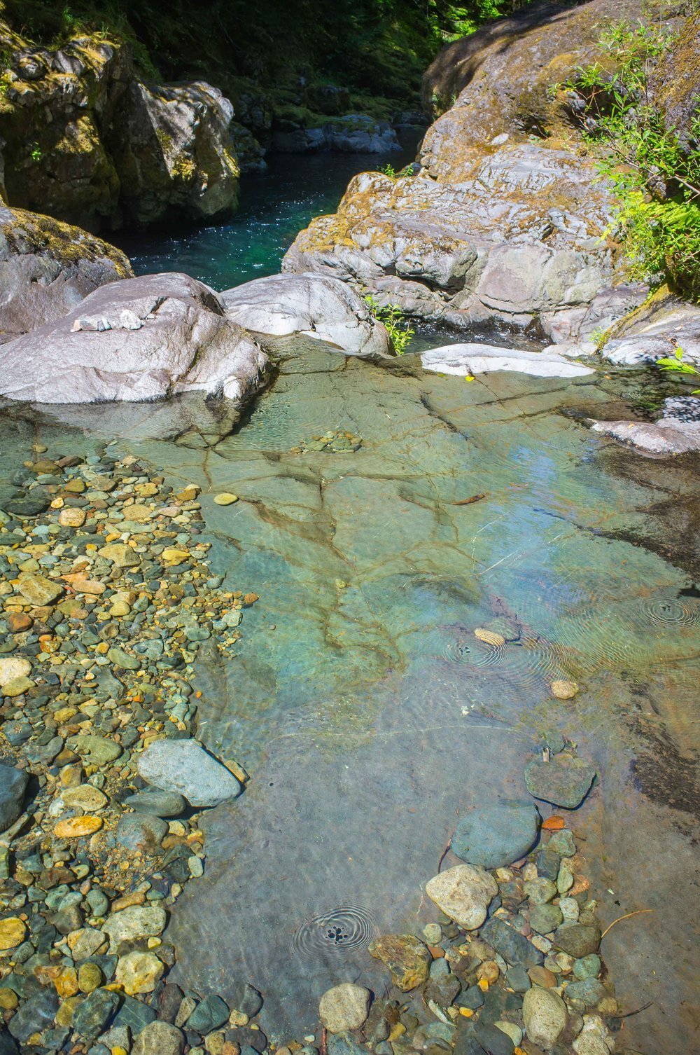 Brice Creek