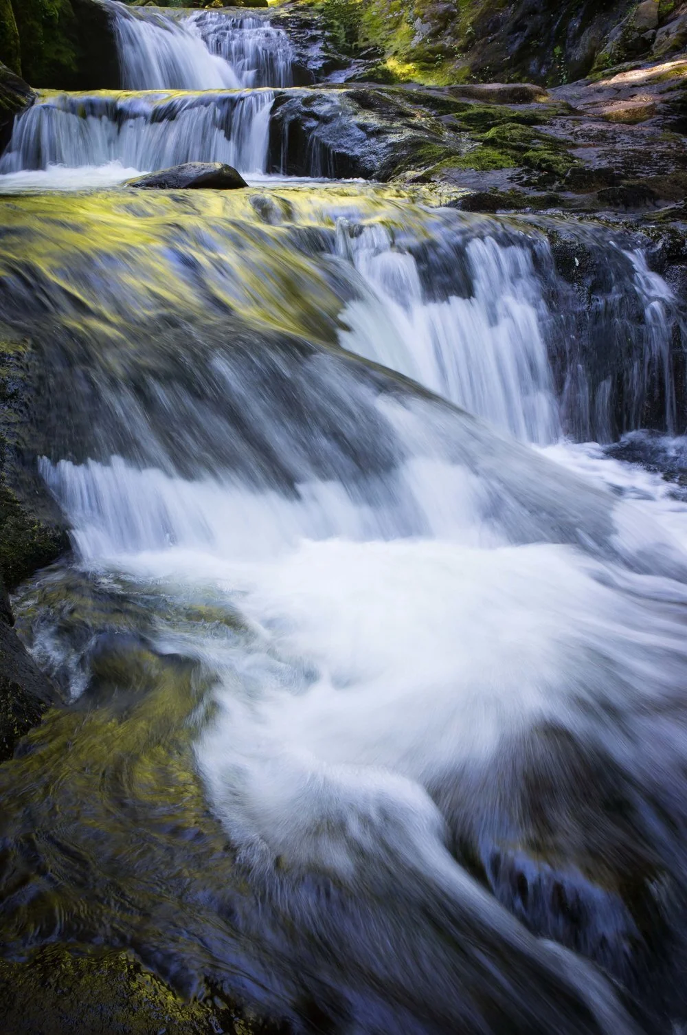 Sweet Creek Falls and Kentucky Falls