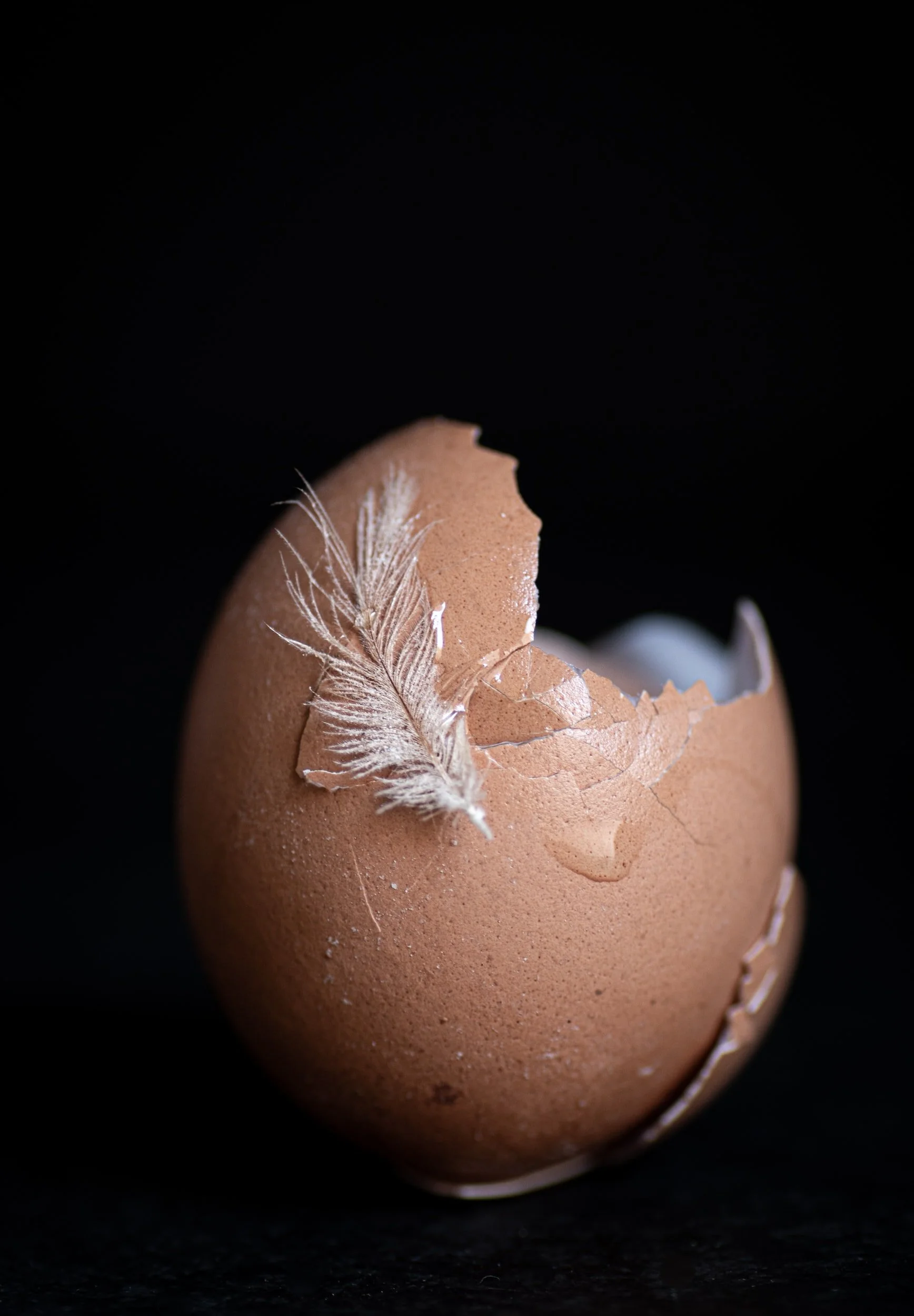 Why is it always the third egg?
