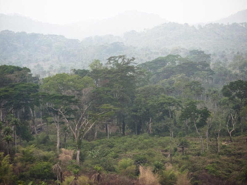 The Photographer's Dilemma - Part Two