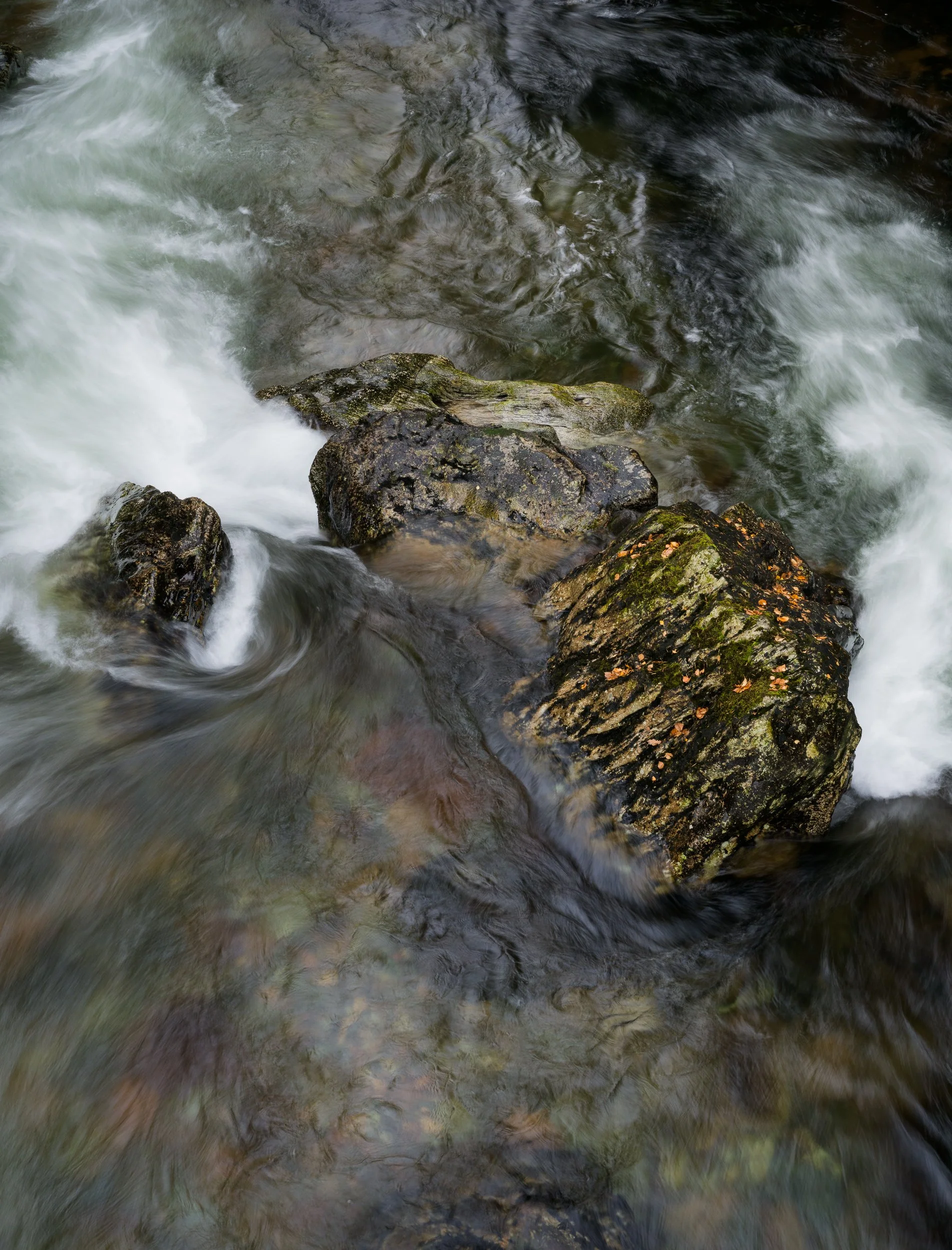 20241102-115739-HasselbladX2D 100C_Blog.jpg