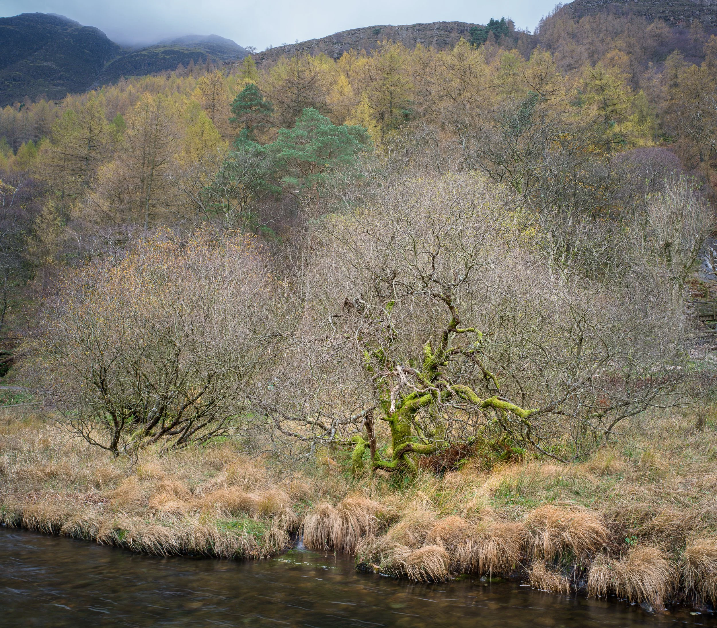 November, Lake District, England