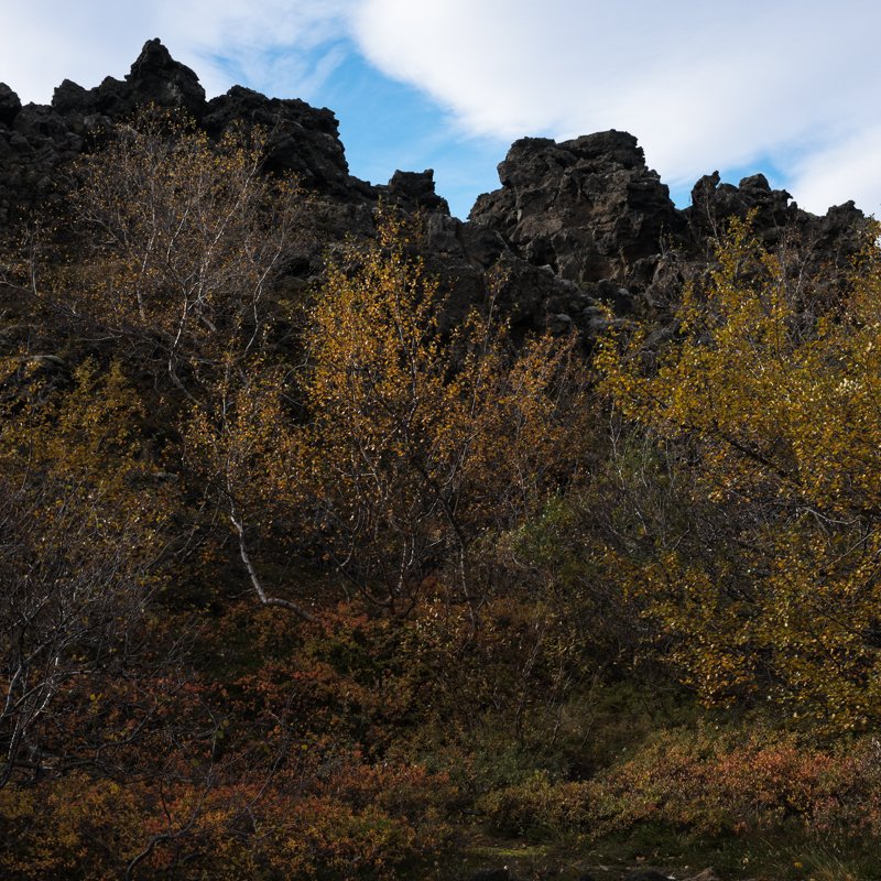 Iceland - Lake Myvatn - Dimmuborgir Lava Field